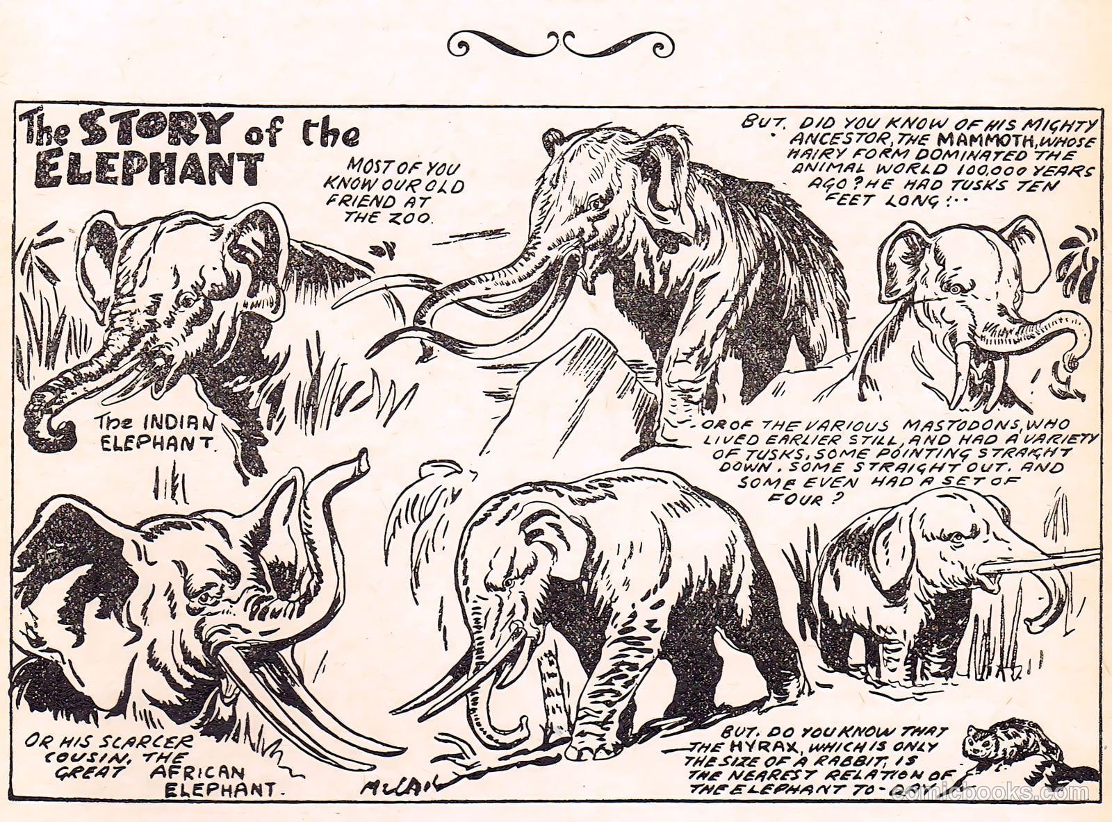 Cute Fun Album #1951 (1951) — page 43 of 44