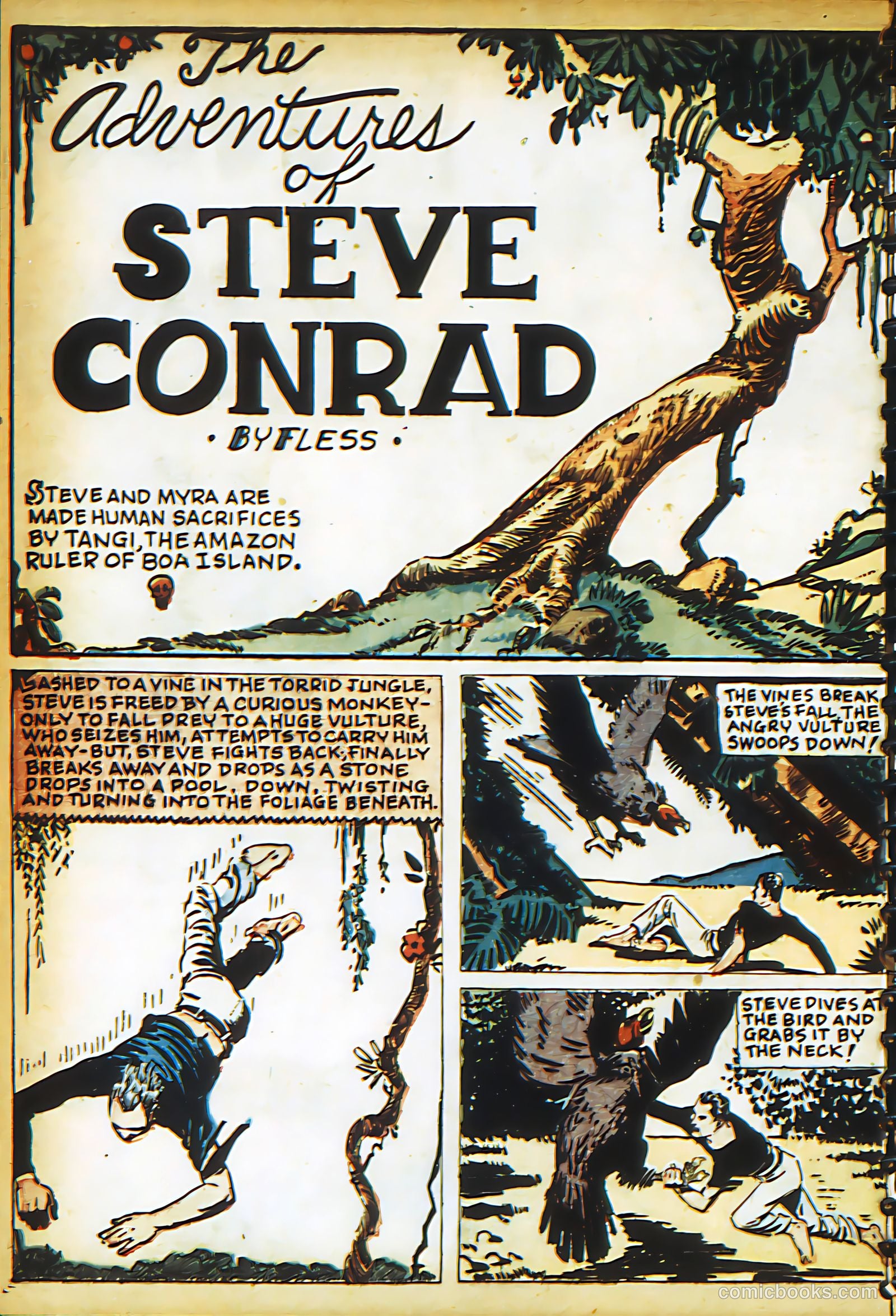 New Adventure Comics #17 (1950) — page 17 of 70