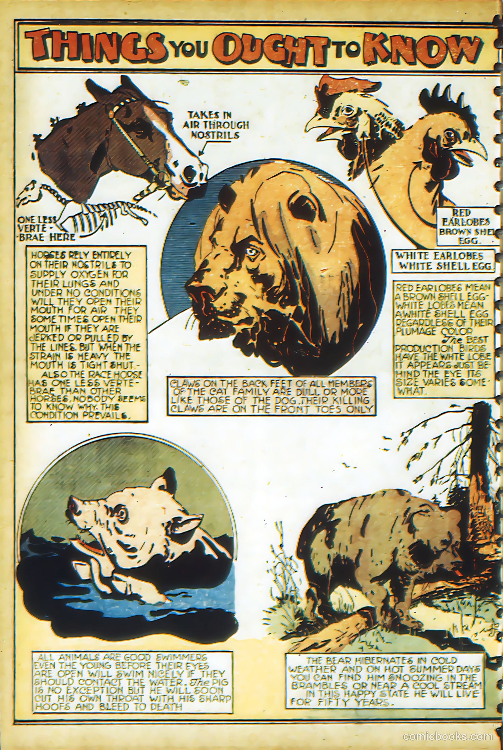 New Adventure Comics #17 (1950) — page 67 of 70