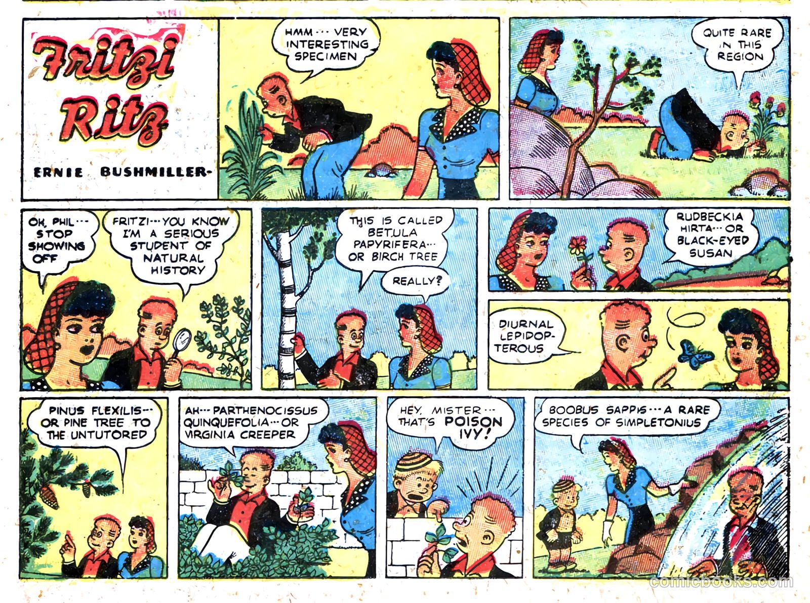 Tip Top Comics #117 (1936) — page 14 of 47