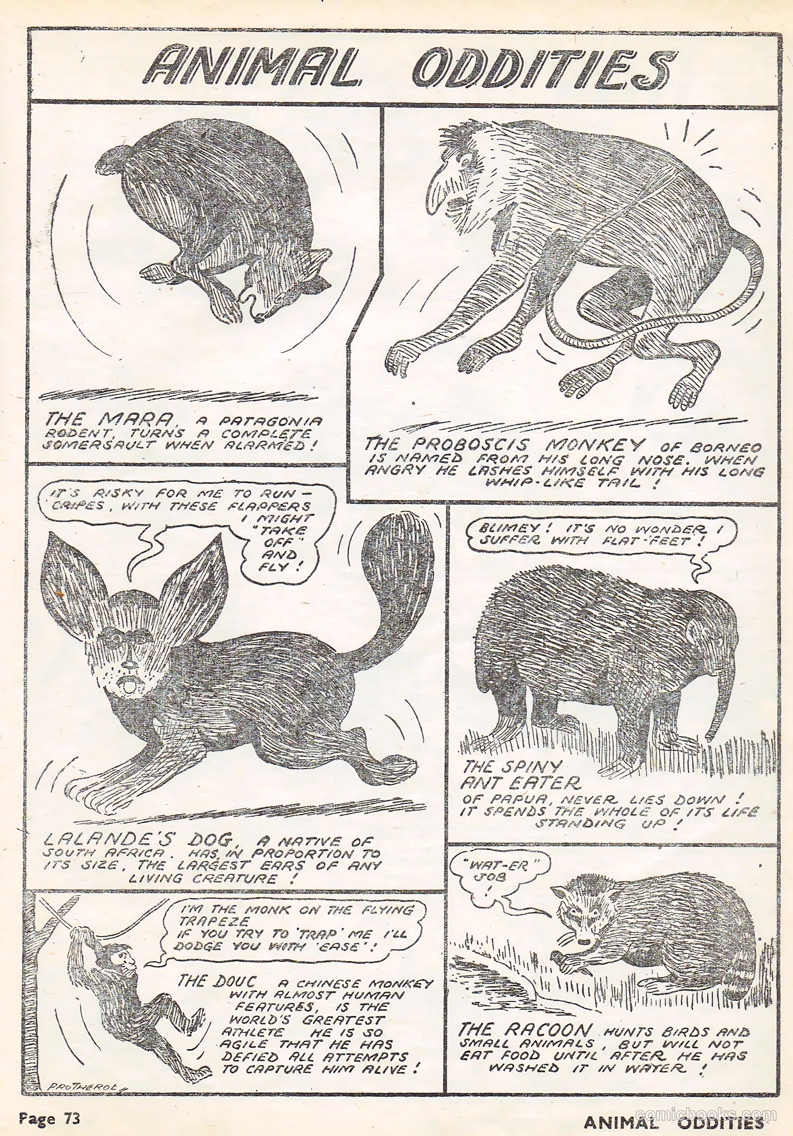 Funnies Album 1950 Part #2 (1950) — page 34 of 57