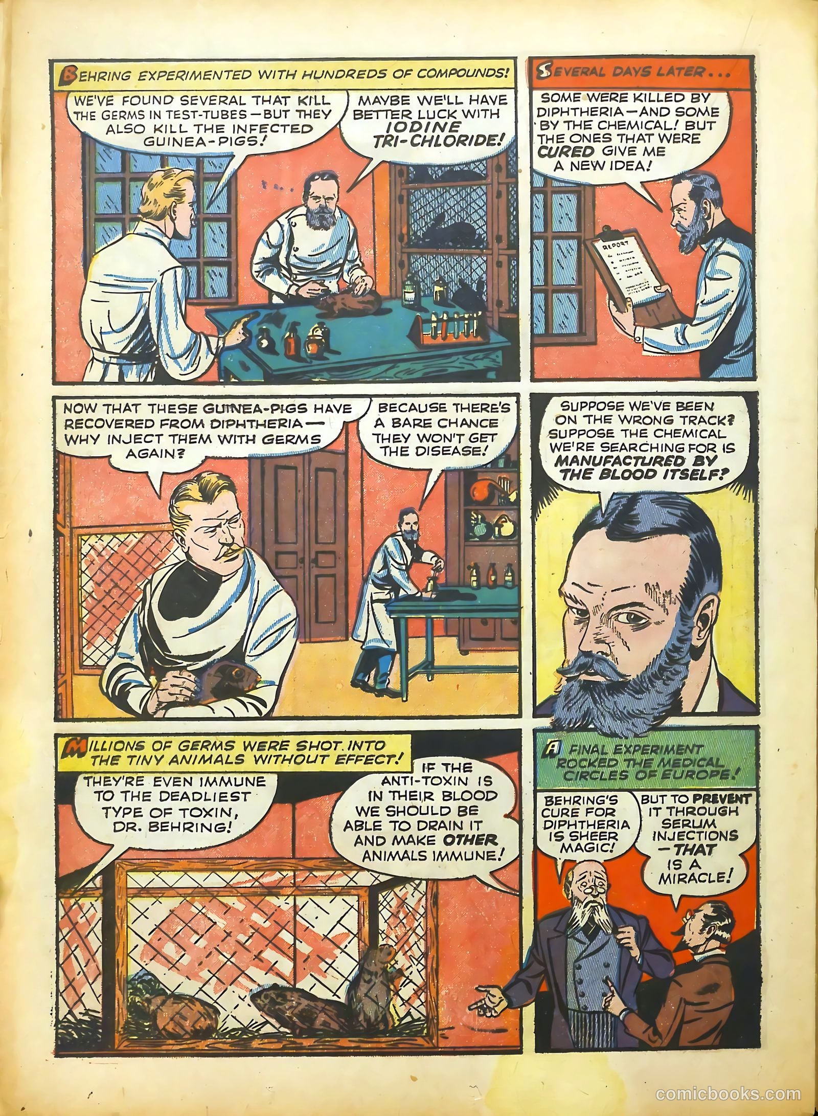 Real Life Comics #11 (1950) — page 36 of 68