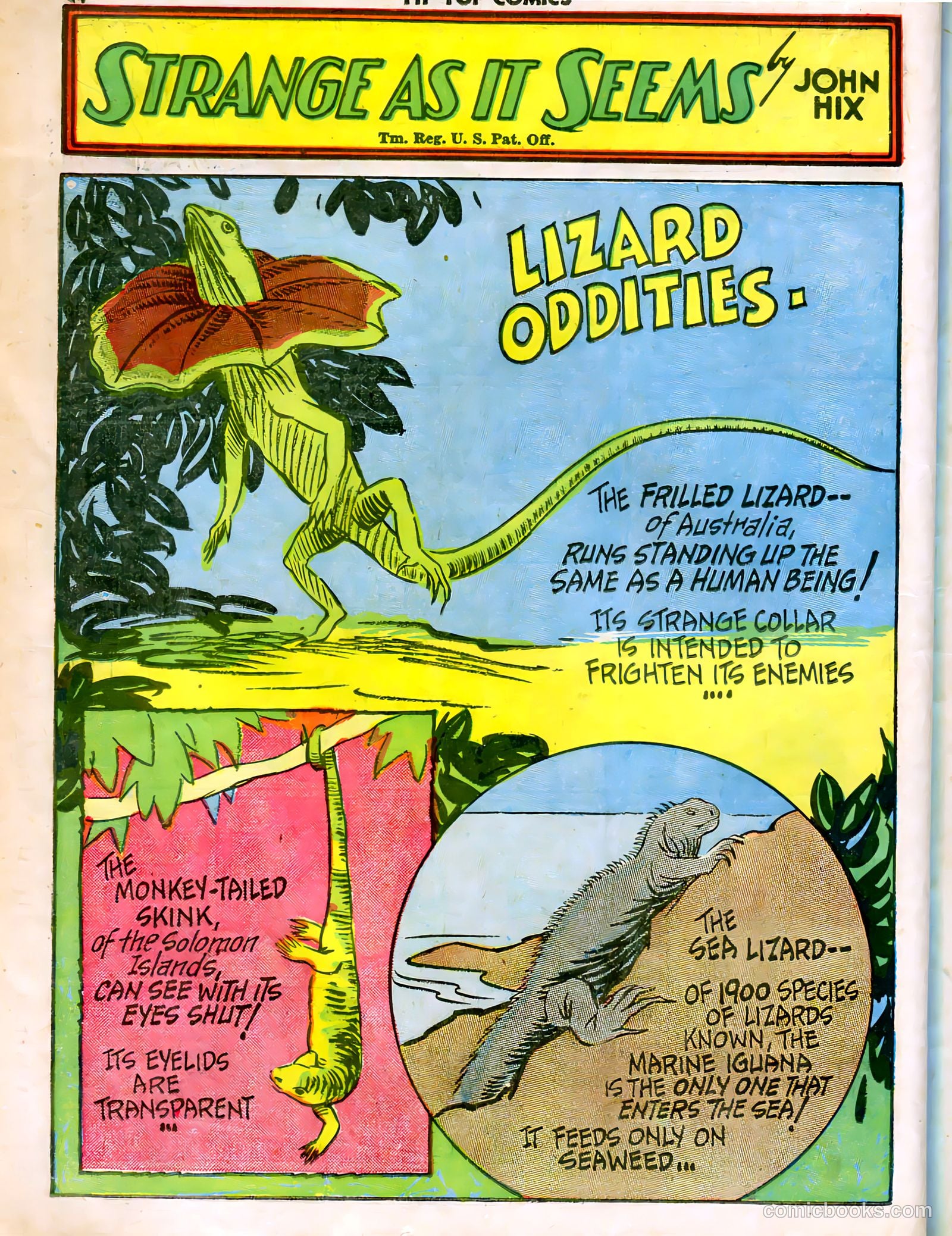 Tip Top Comics #49 (1936) — page 37 of 53