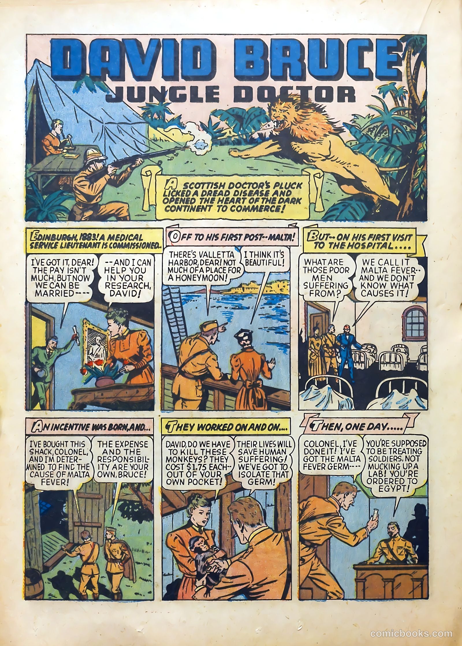 Real Life Comics #10 (1950) — page 36 of 68