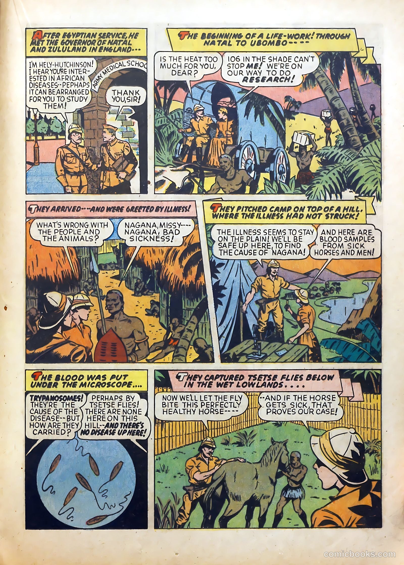 Real Life Comics #10 (1950) — page 37 of 68