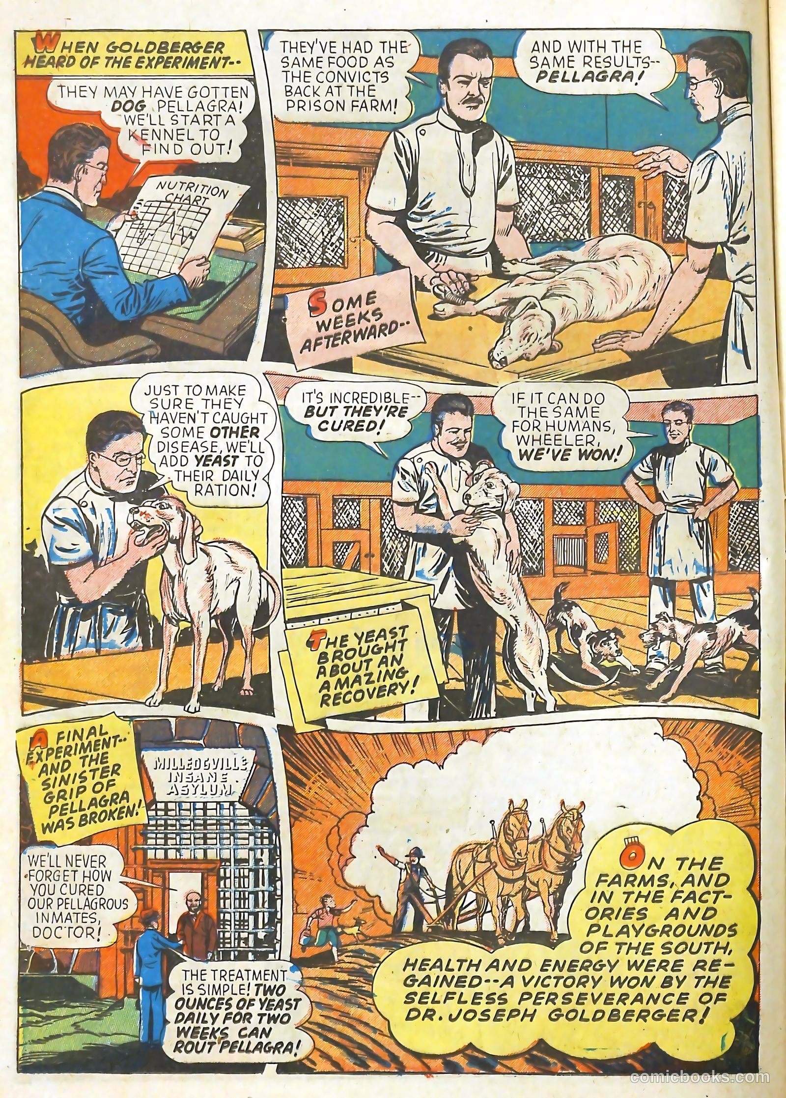 Real Life Comics #12 (1950) — page 24 of 60