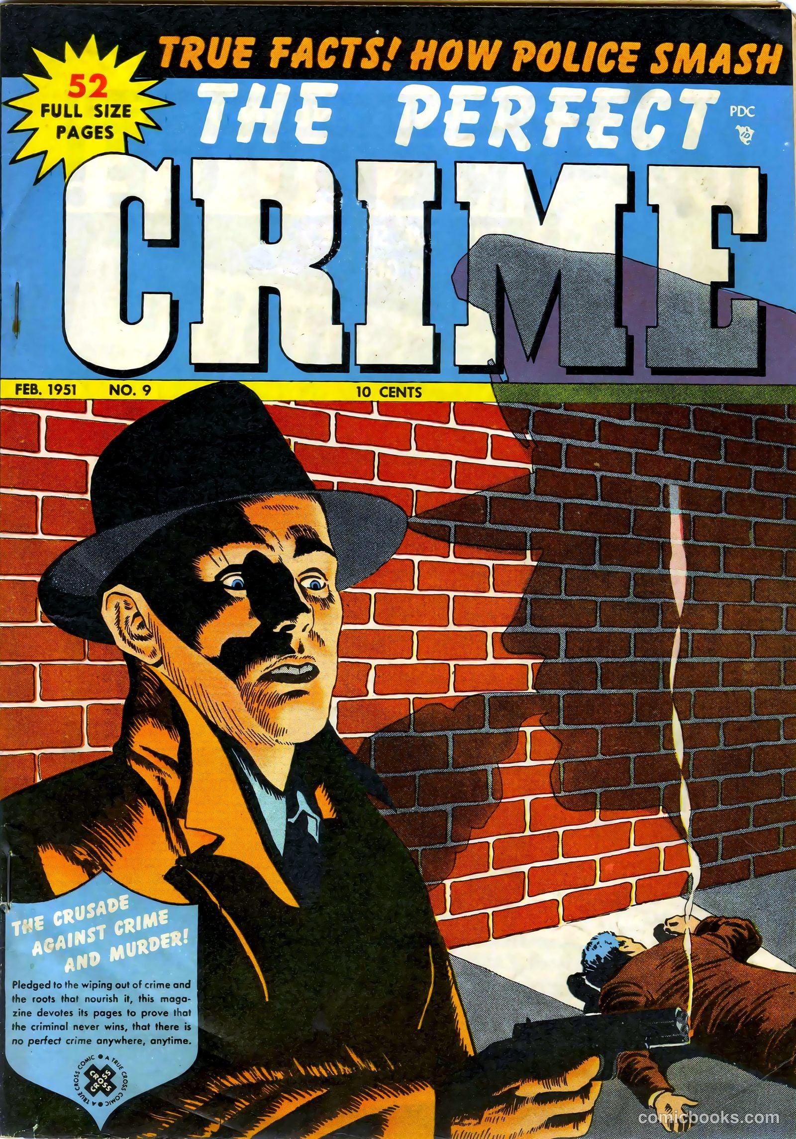 The Perfect Crime #9