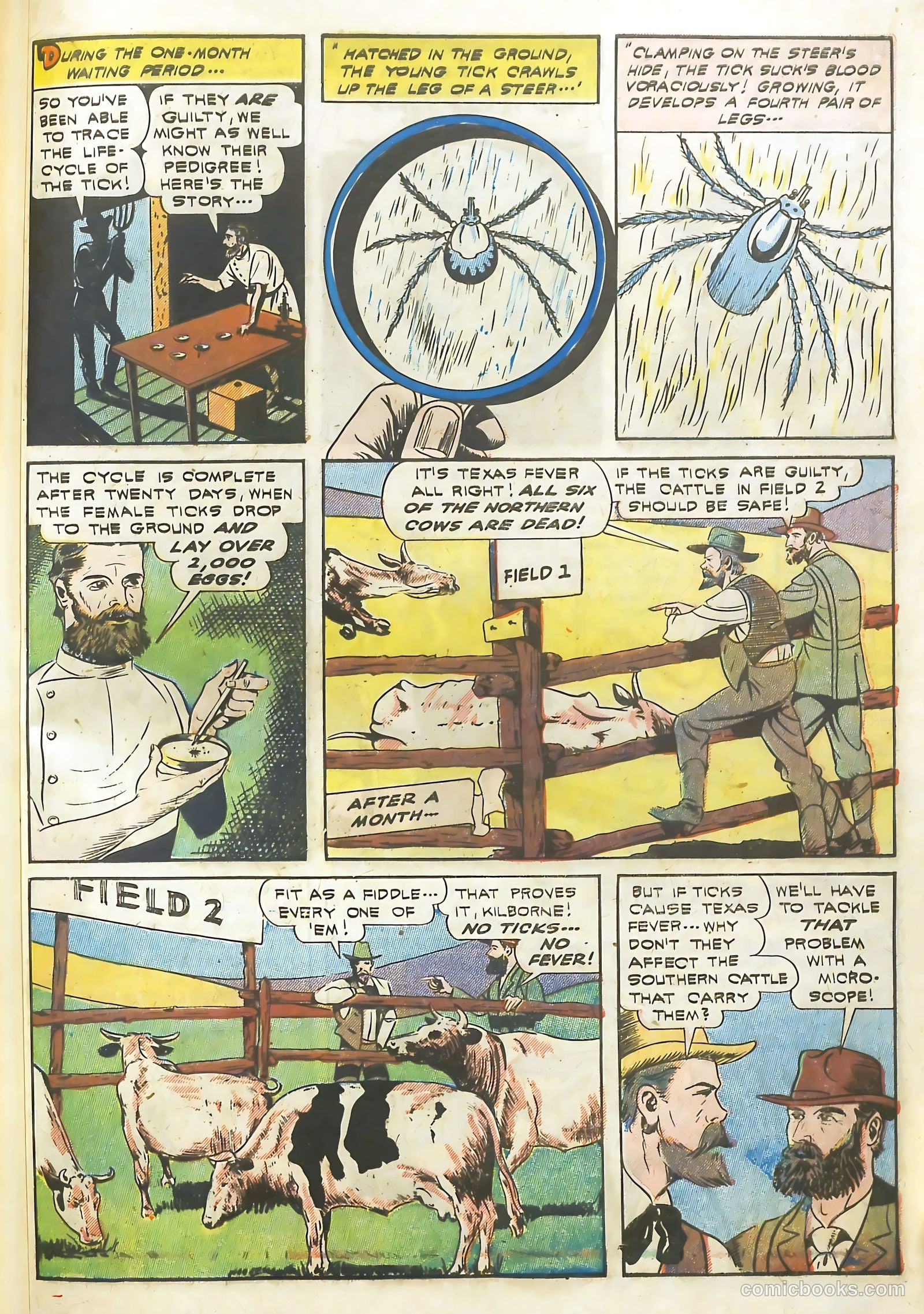Real Life Comics #13 (1950) — page 54 of 61