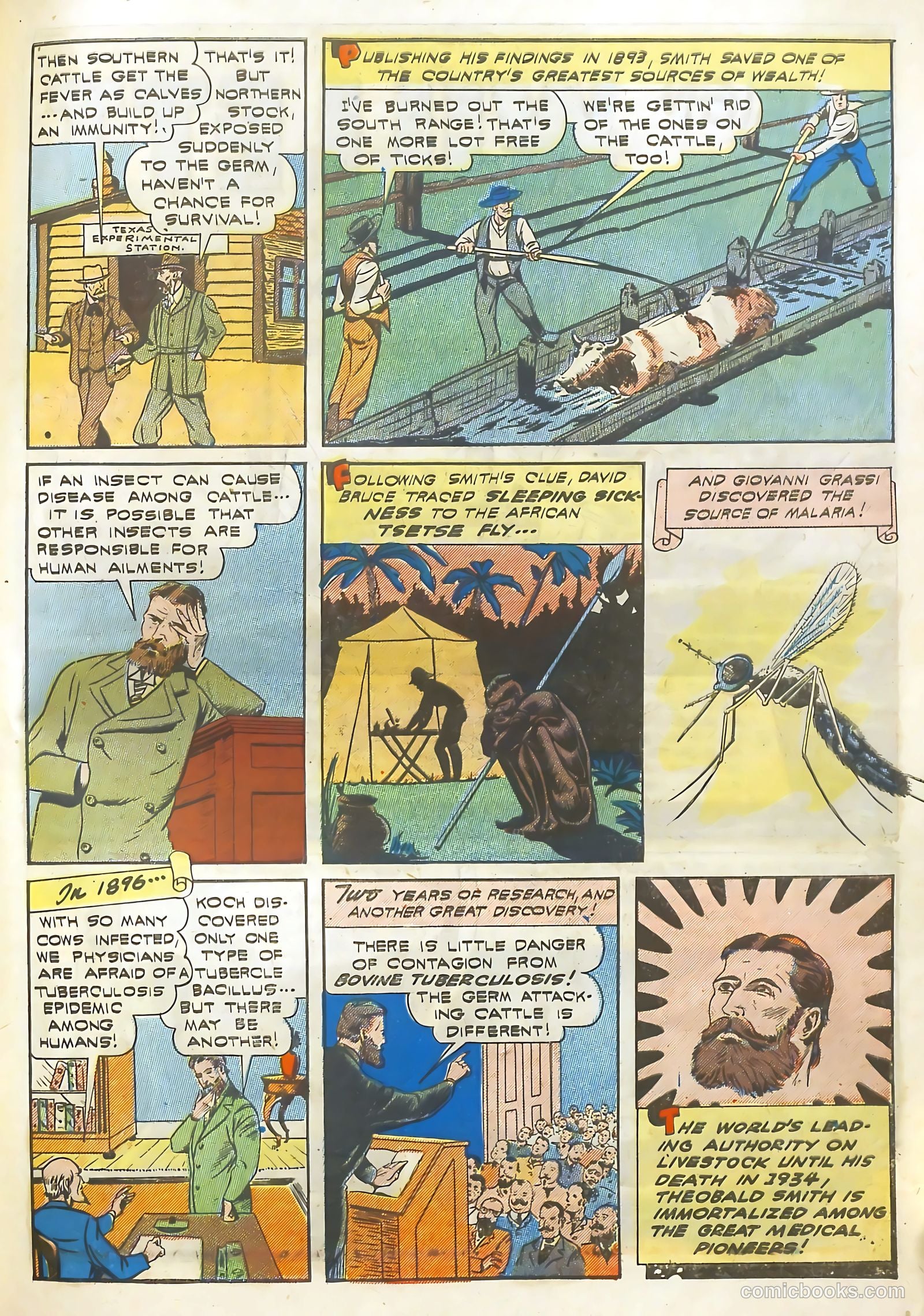 Real Life Comics #13 (1950) — page 56 of 61