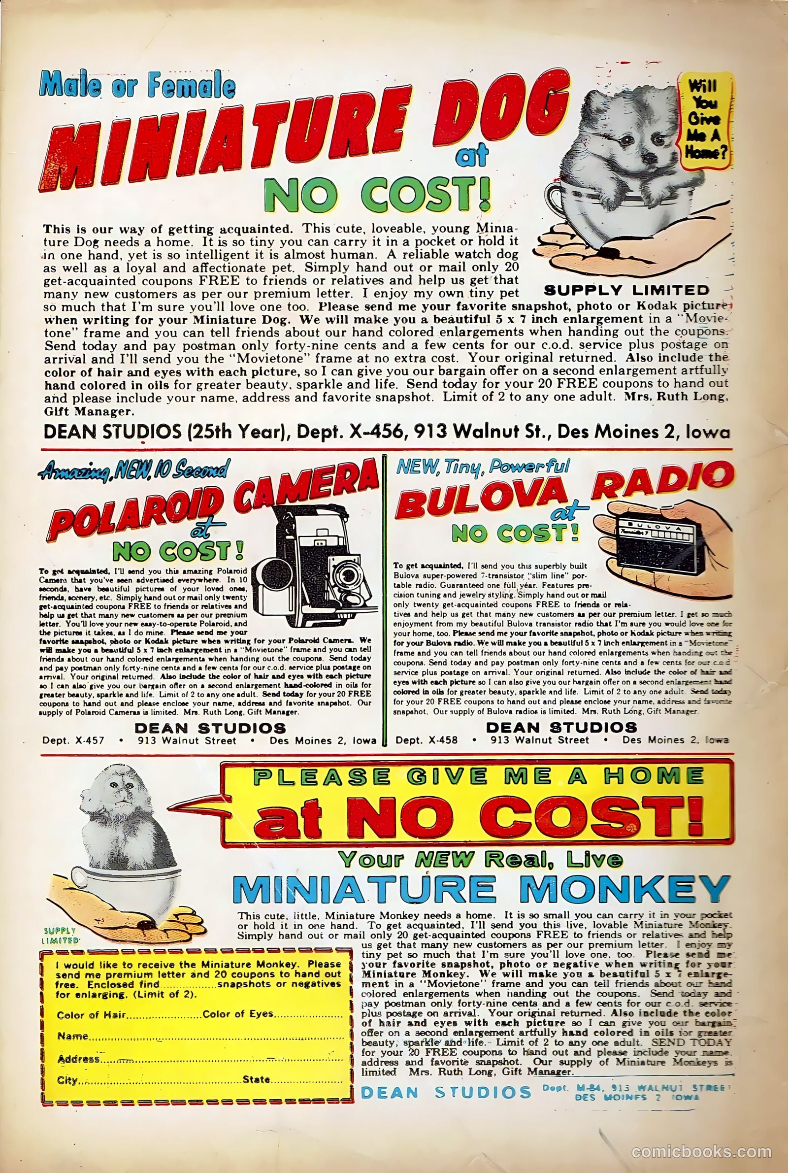The Return of Konga #1 (1962) — page 36 of 36