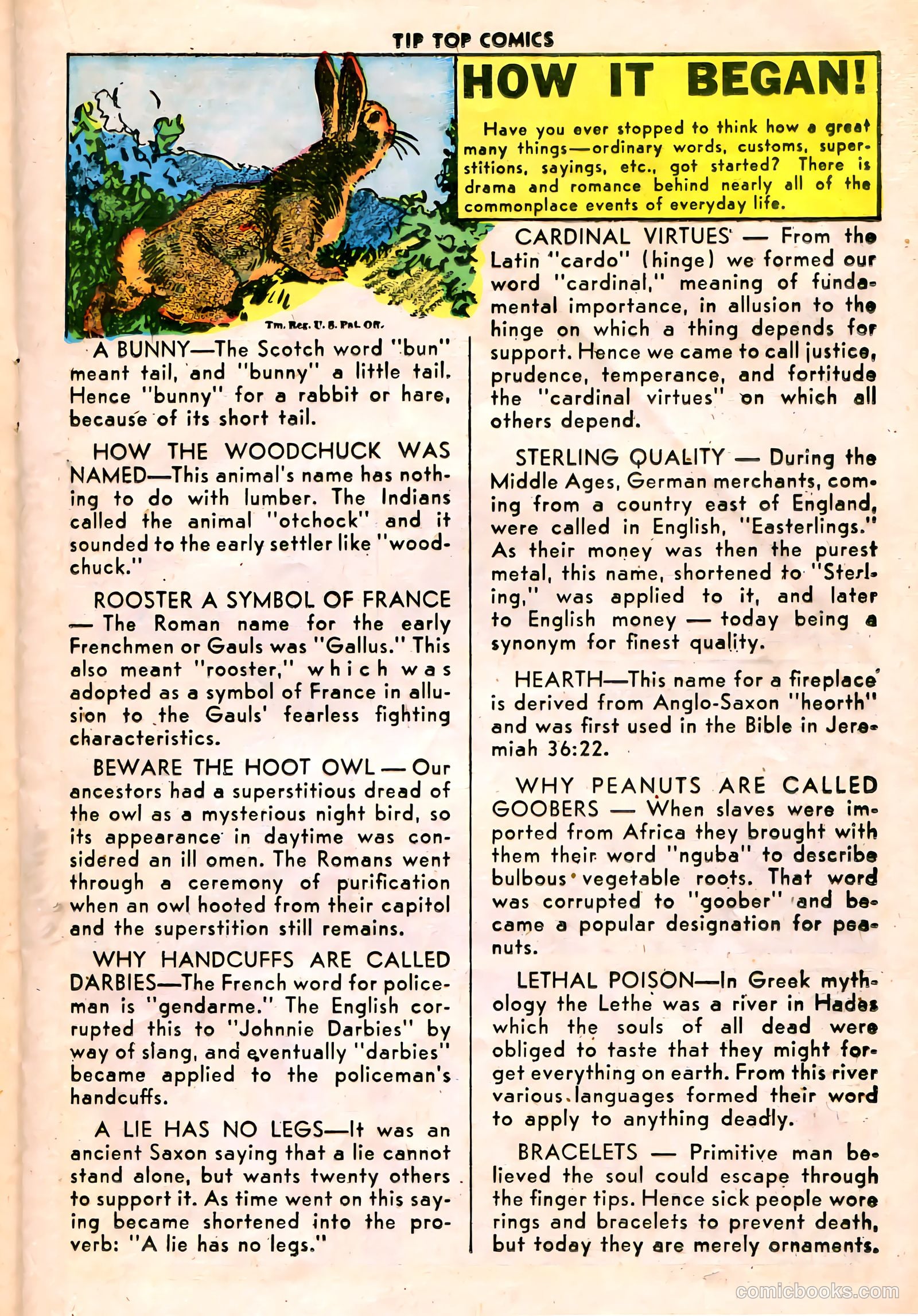 Tip Top Comics #120 (1936) — page 21 of 48
