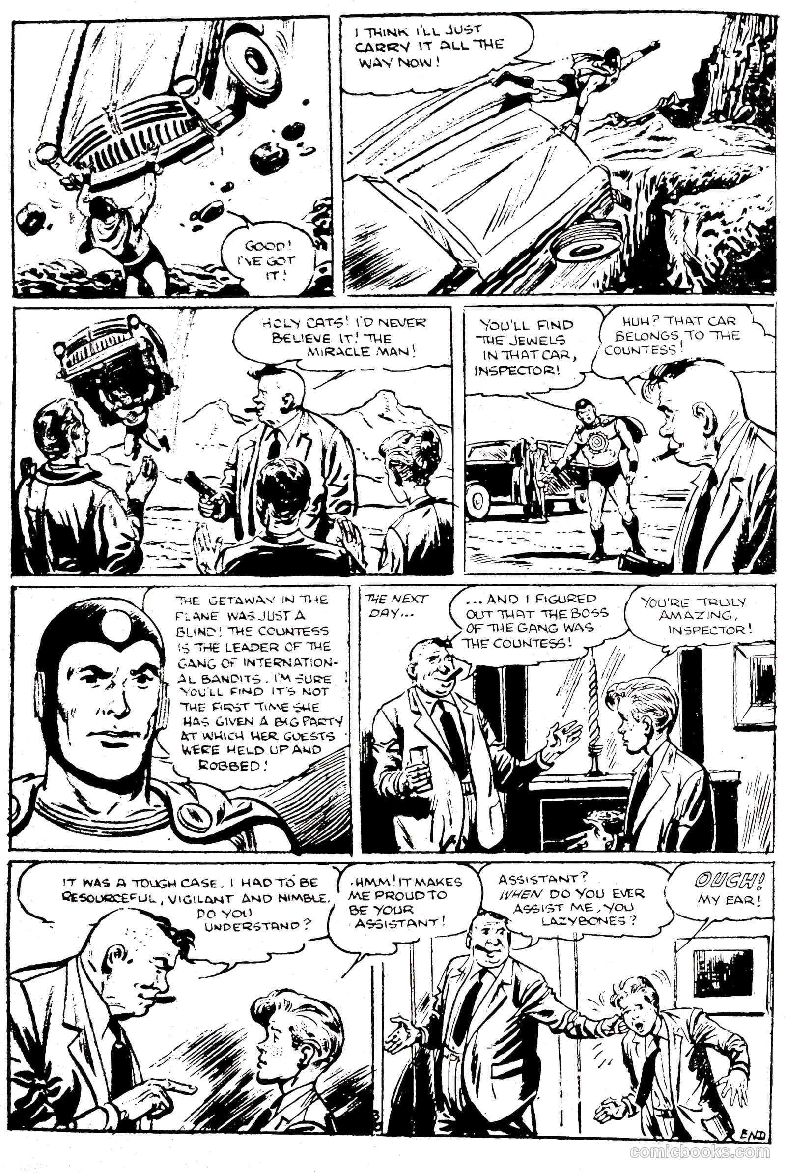 Miracleman #12 (2014) — page 32 of 44