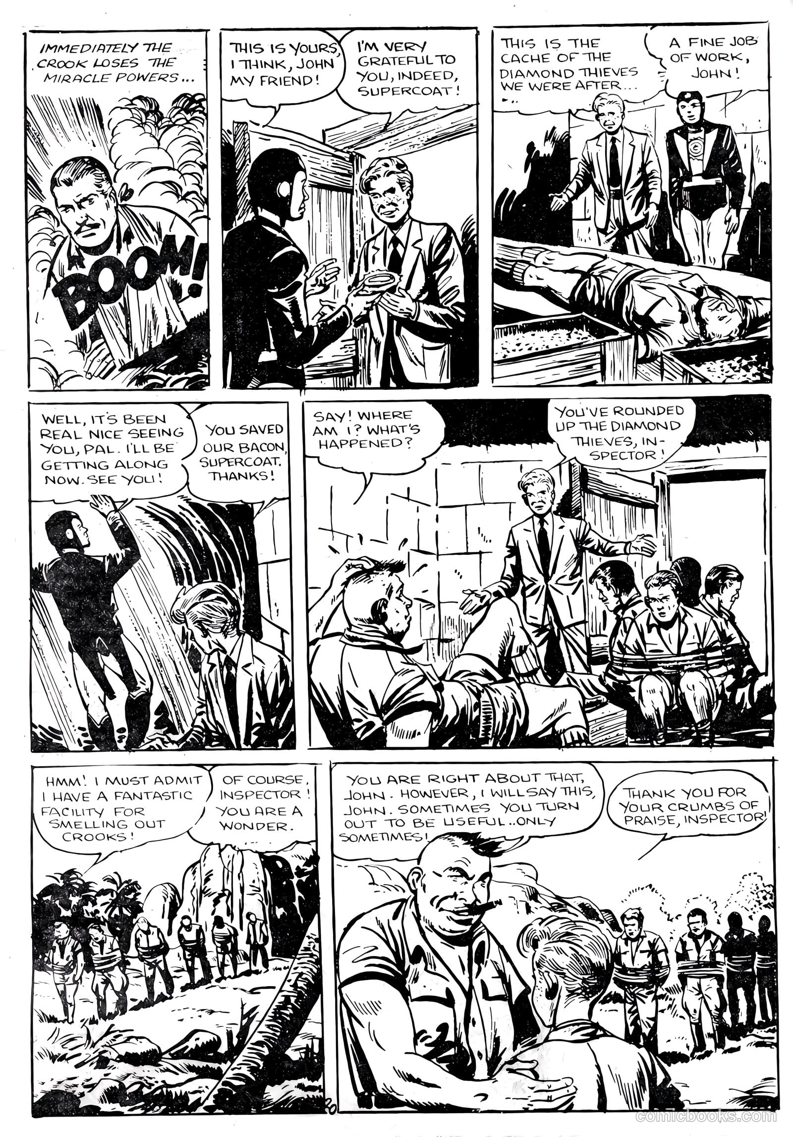 Miracleman #11 (2014) — page 22 of 36