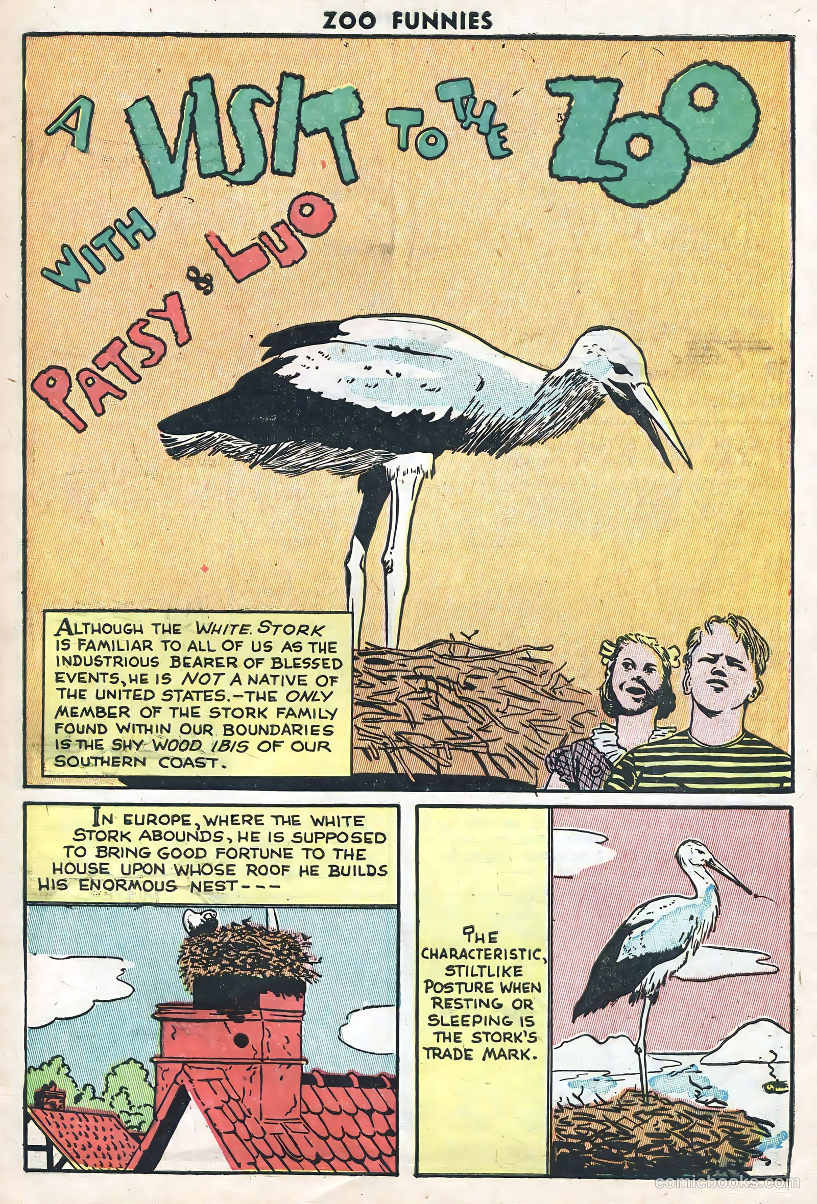 Zoo Funnies v1 #10 — page 9 of 36