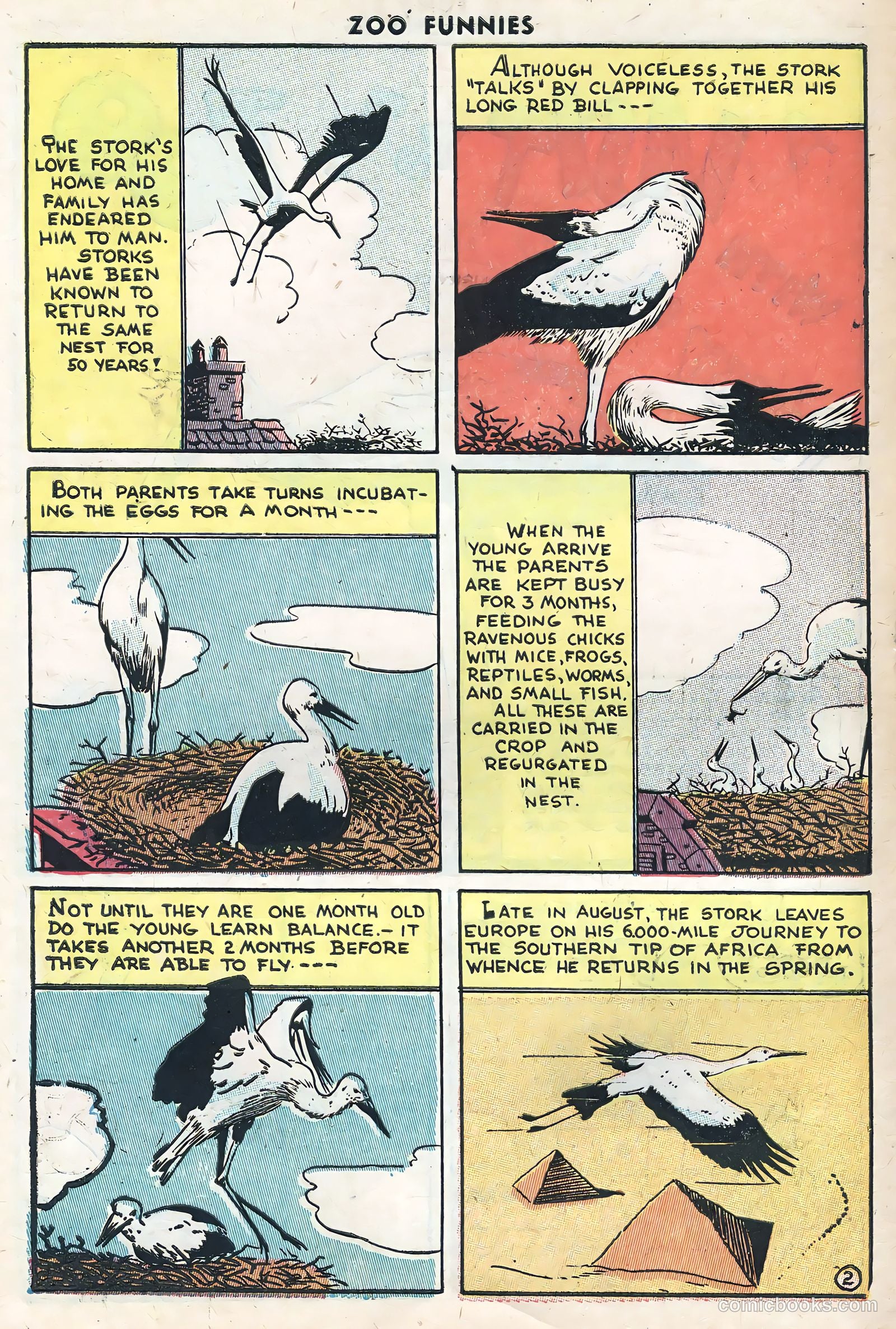 Zoo Funnies v1 #10 — page 10 of 36