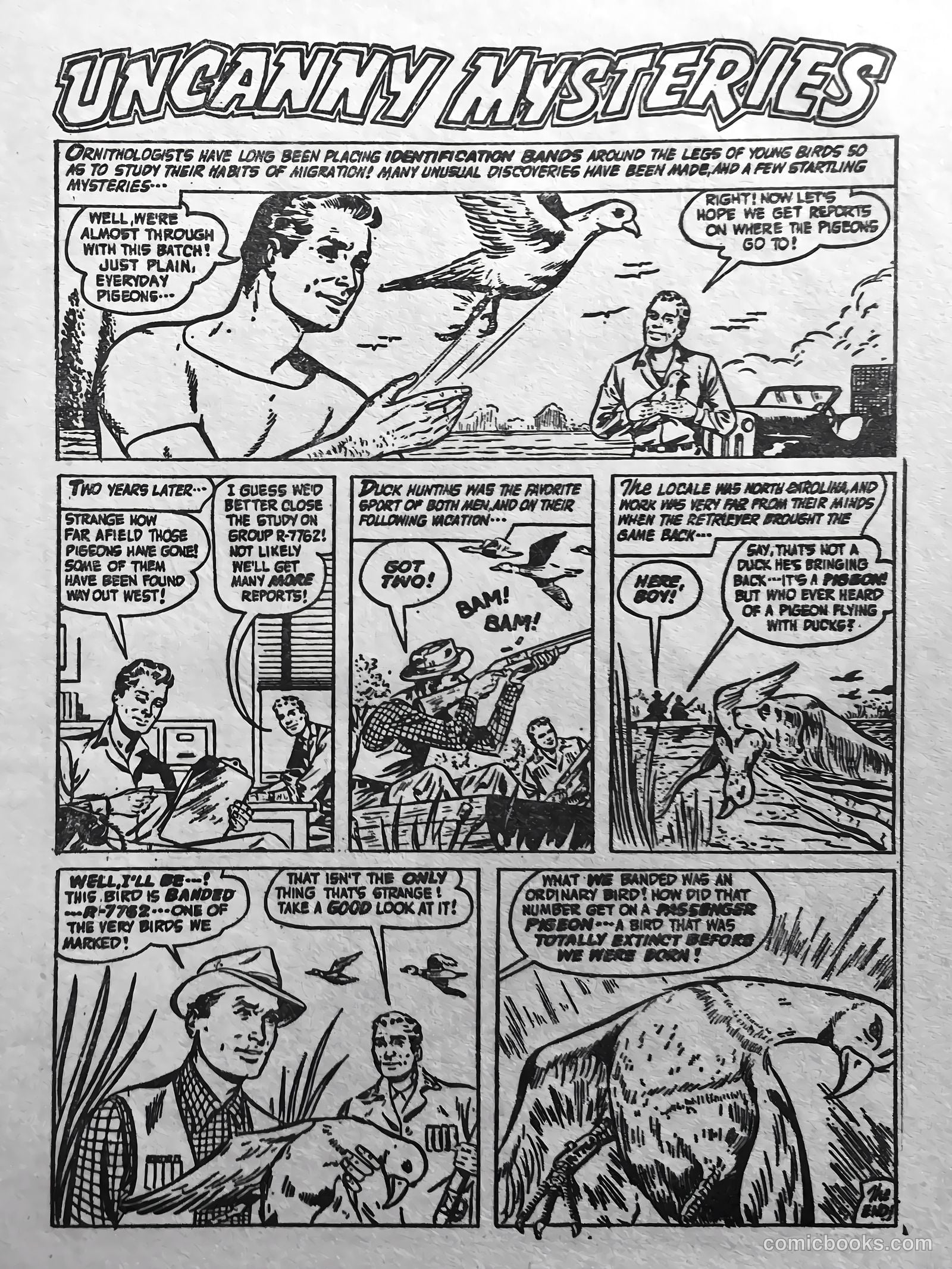 Eerie Tales #1 (1959) — page 51 of 68