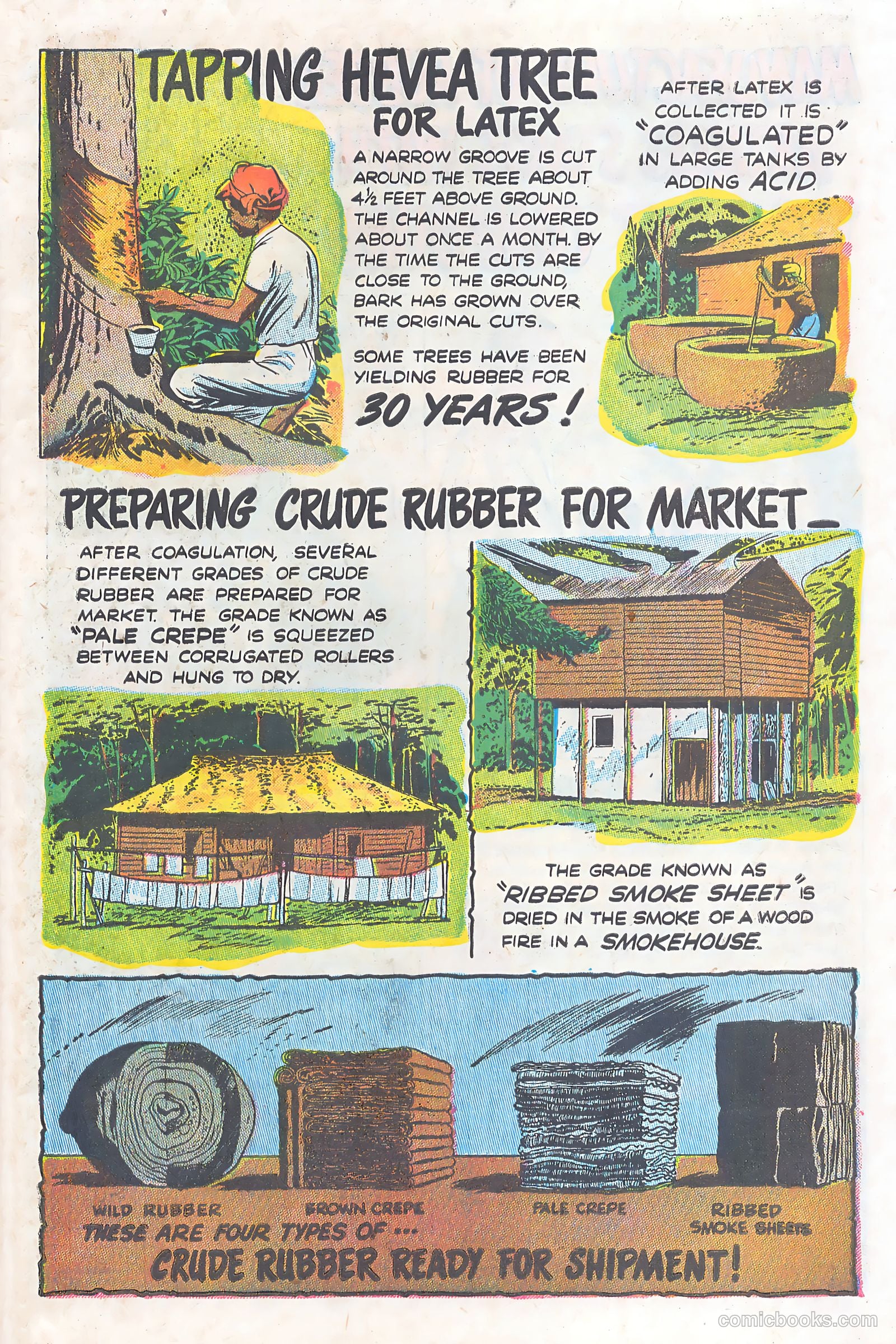 Wonder Book of Rubber PRD 2-2069 #1 — page 9 of 32