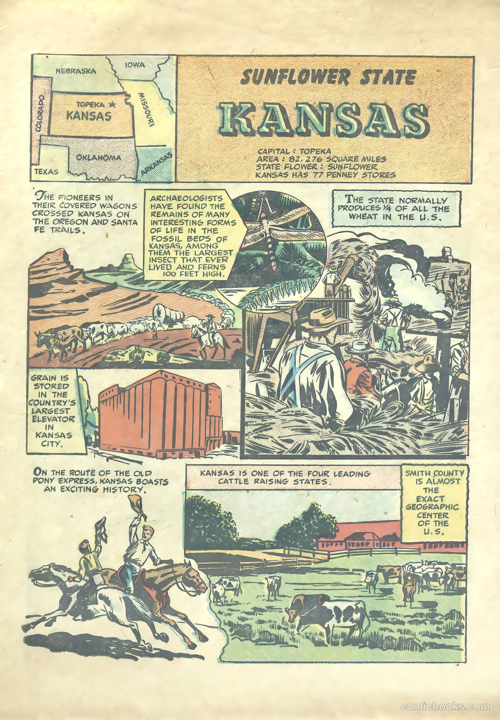 Our United States #1 (1949) — page 16 of 52