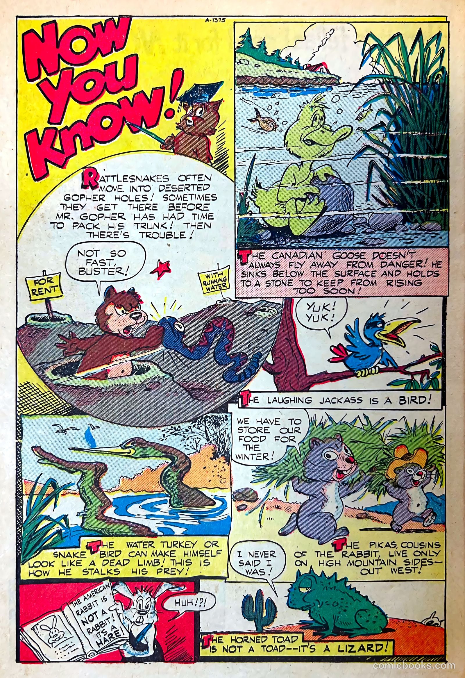 Coo Coo Comics #60 — page 26 of 36