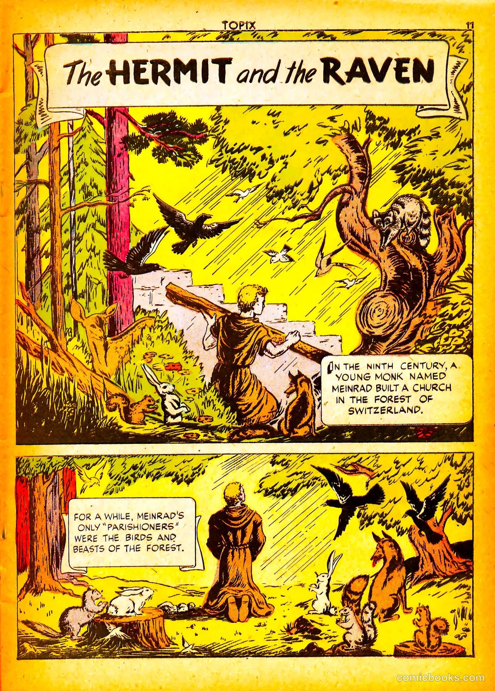 Topix v5 #6 — page 13 of 52