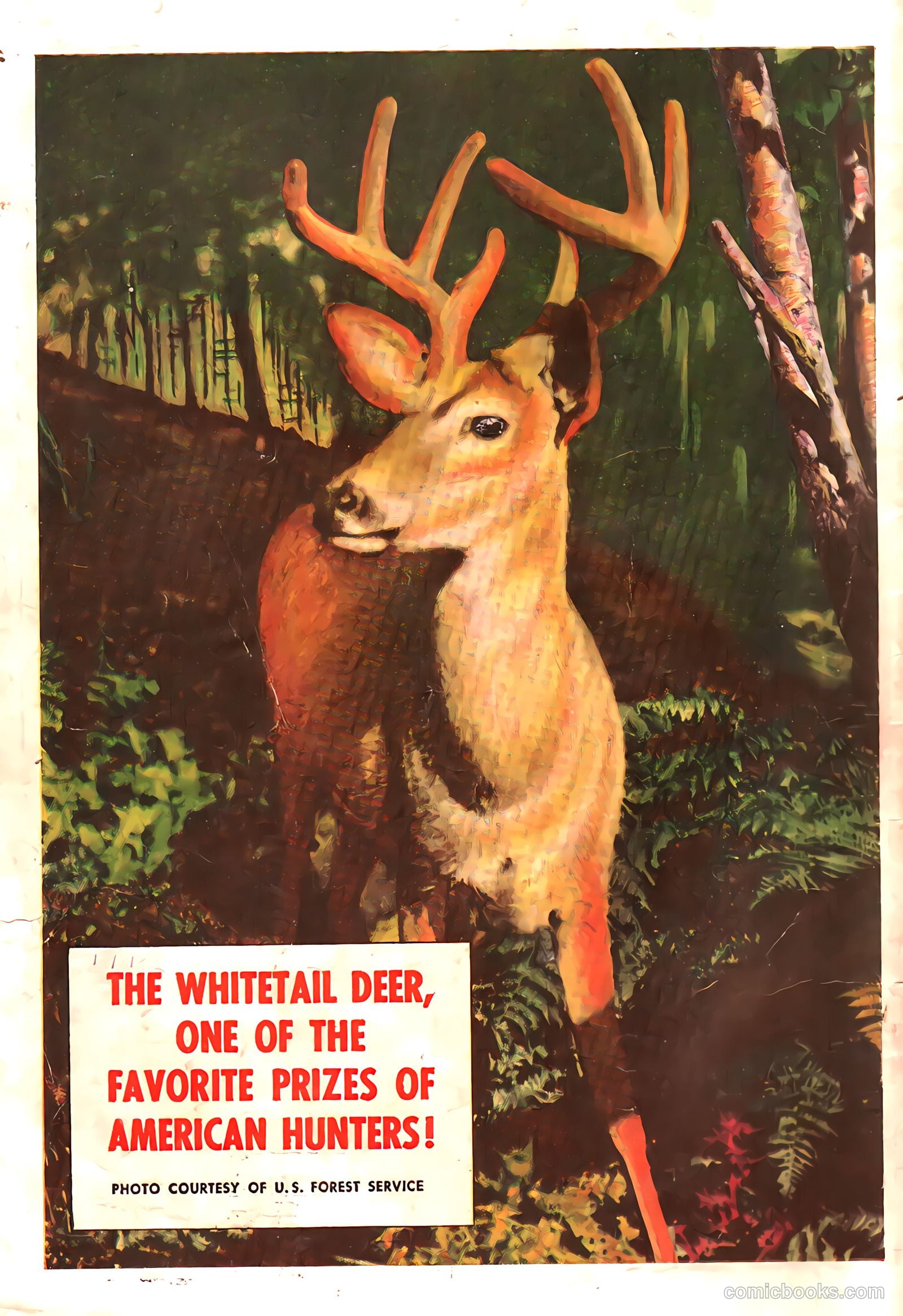 Bob Swift, Boy Sportsman #3 (1951) — page 36 of 36