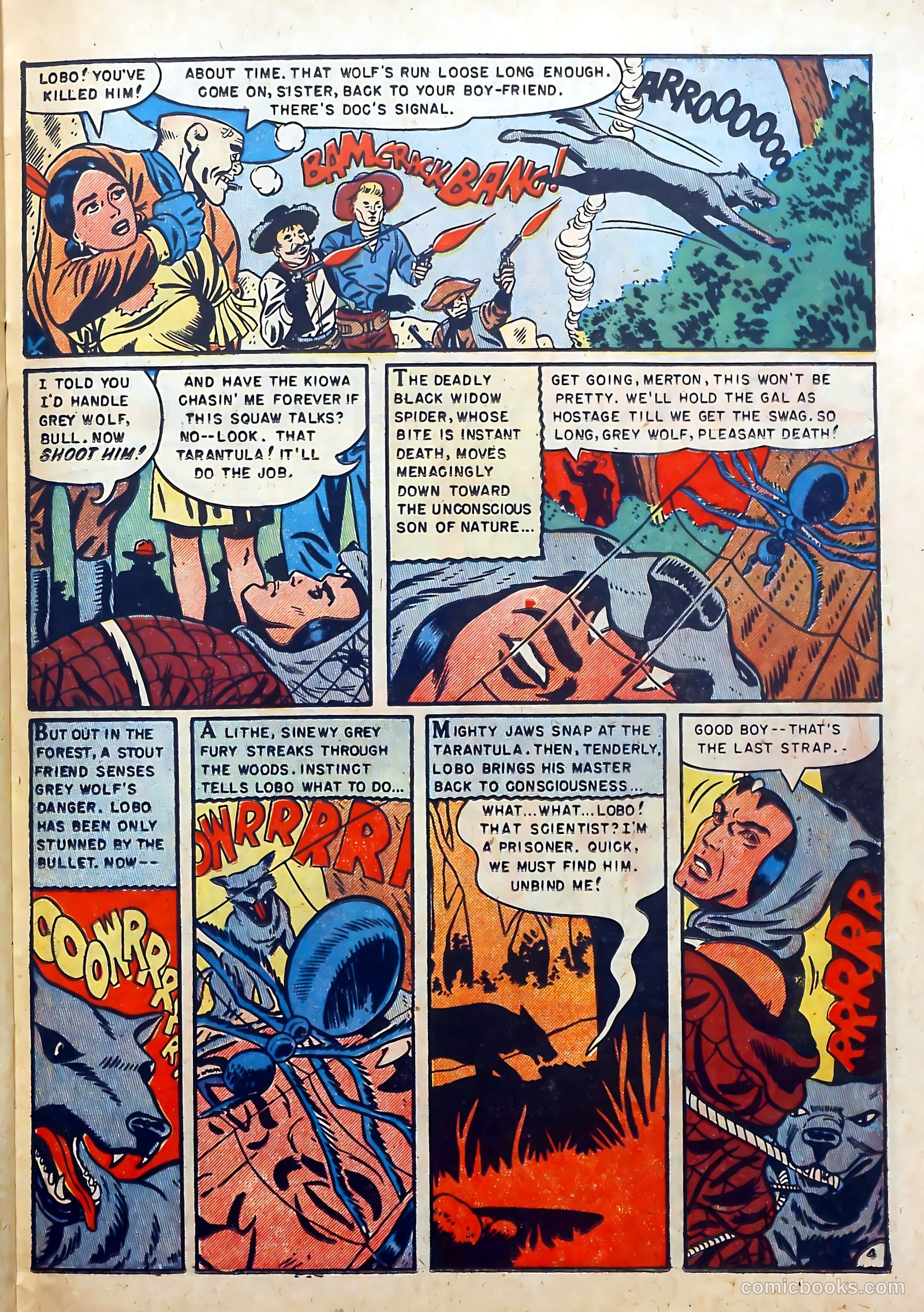 Buffalo Bill #9 (1951) — page 23 of 36