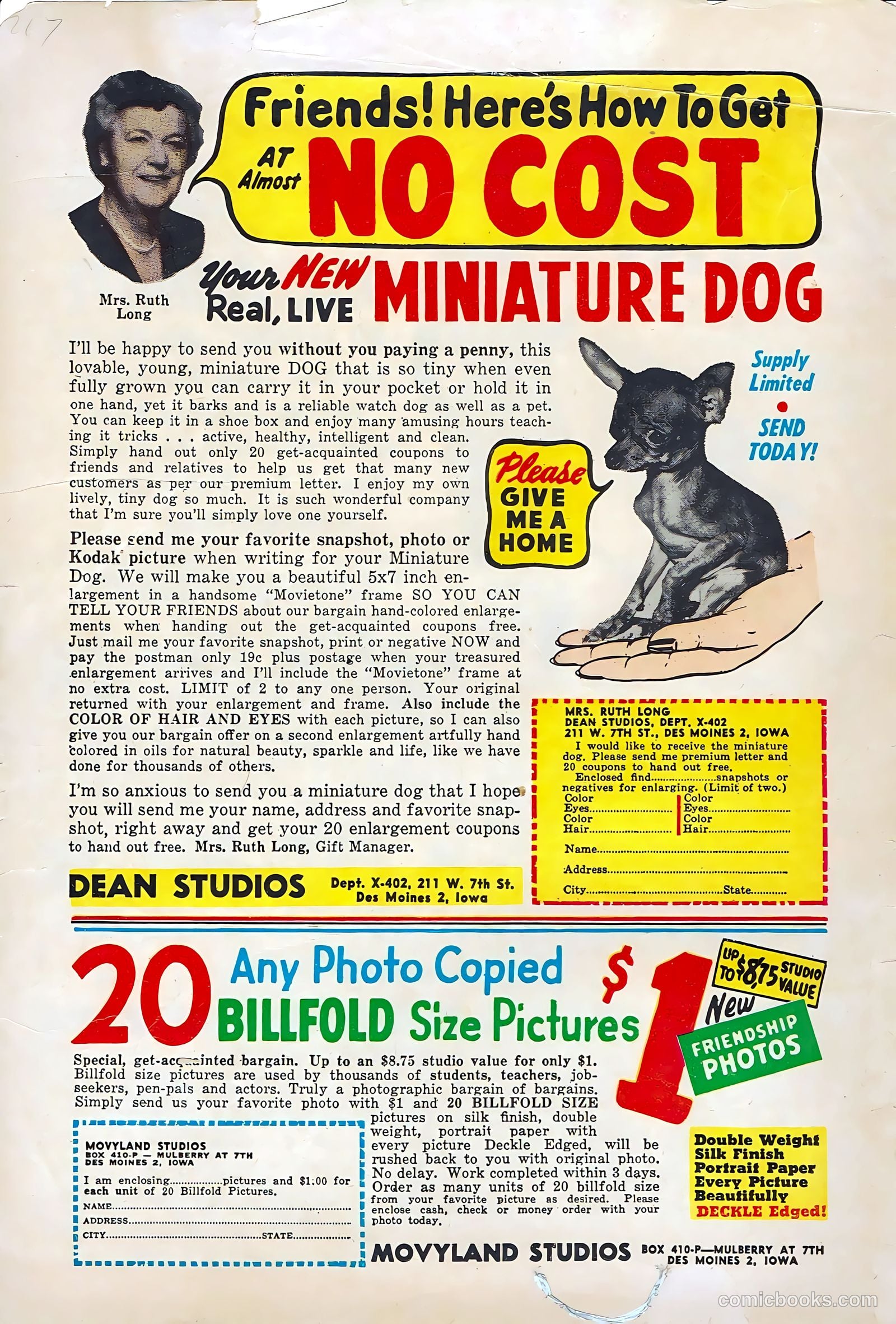 Buster Bear #10 (1955) — page 36 of 36