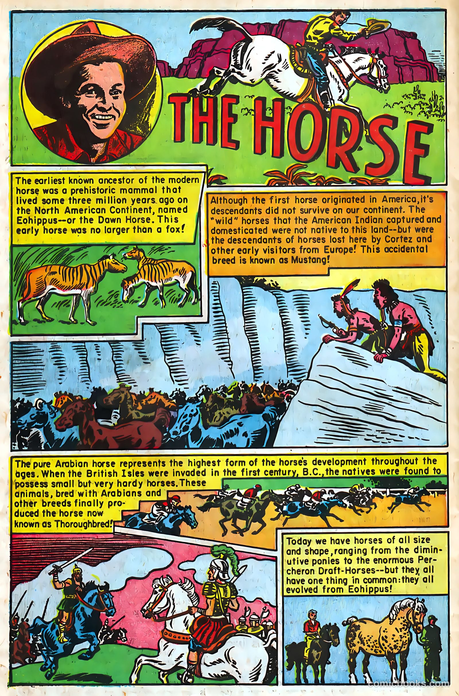 Buster Crabbe #2 (1952) — page 35 of 37