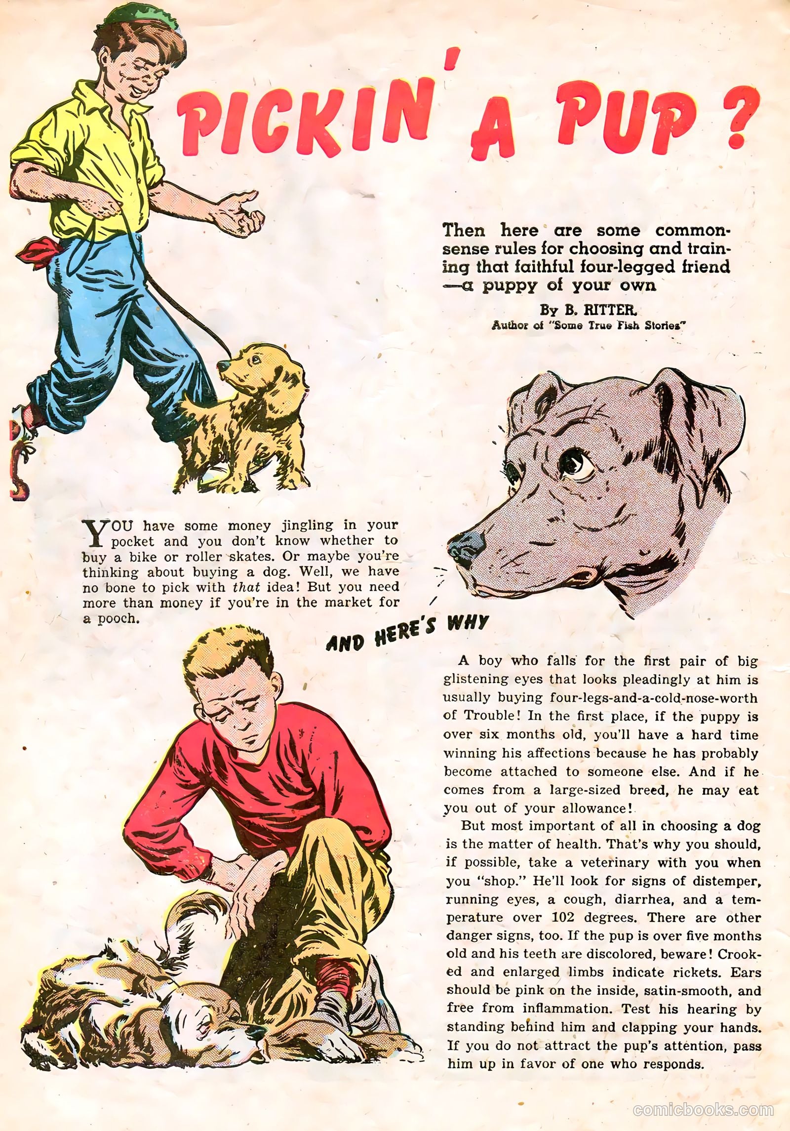 Calling All Boys #17 (1948) — page 10 of 36