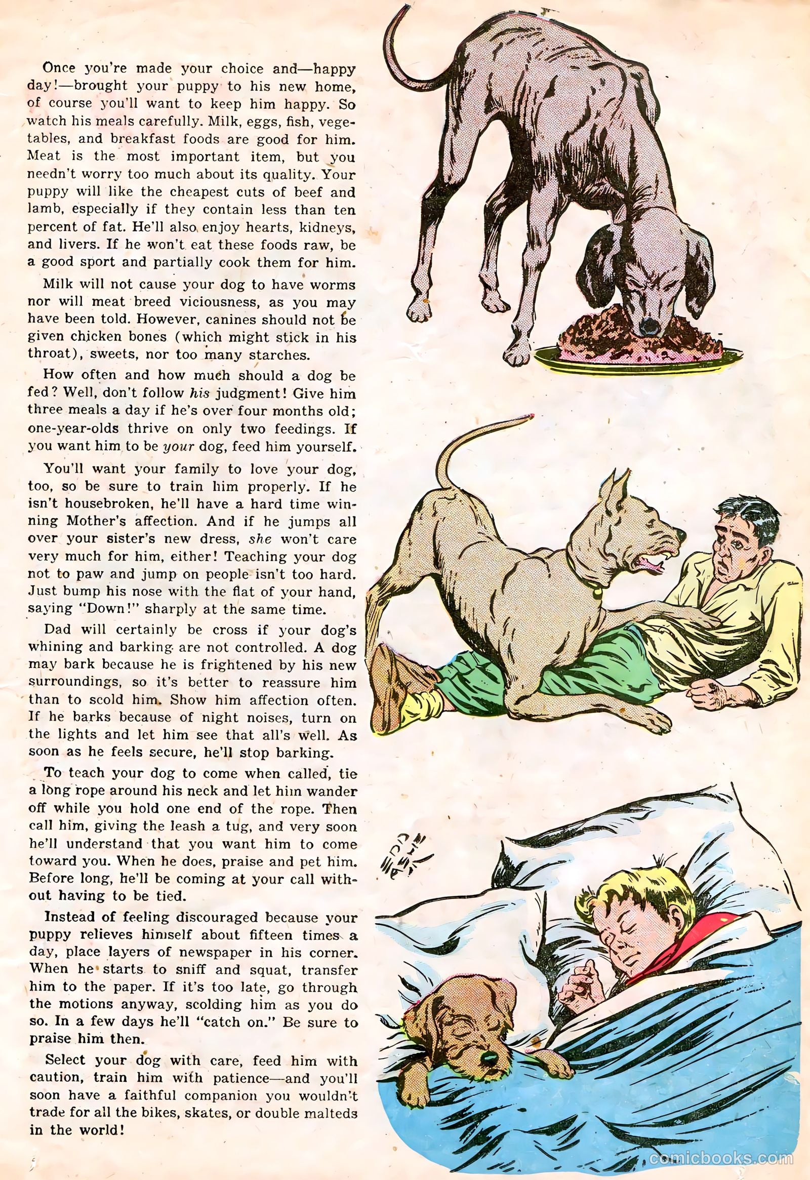 Calling All Boys #17 (1948) — page 11 of 36