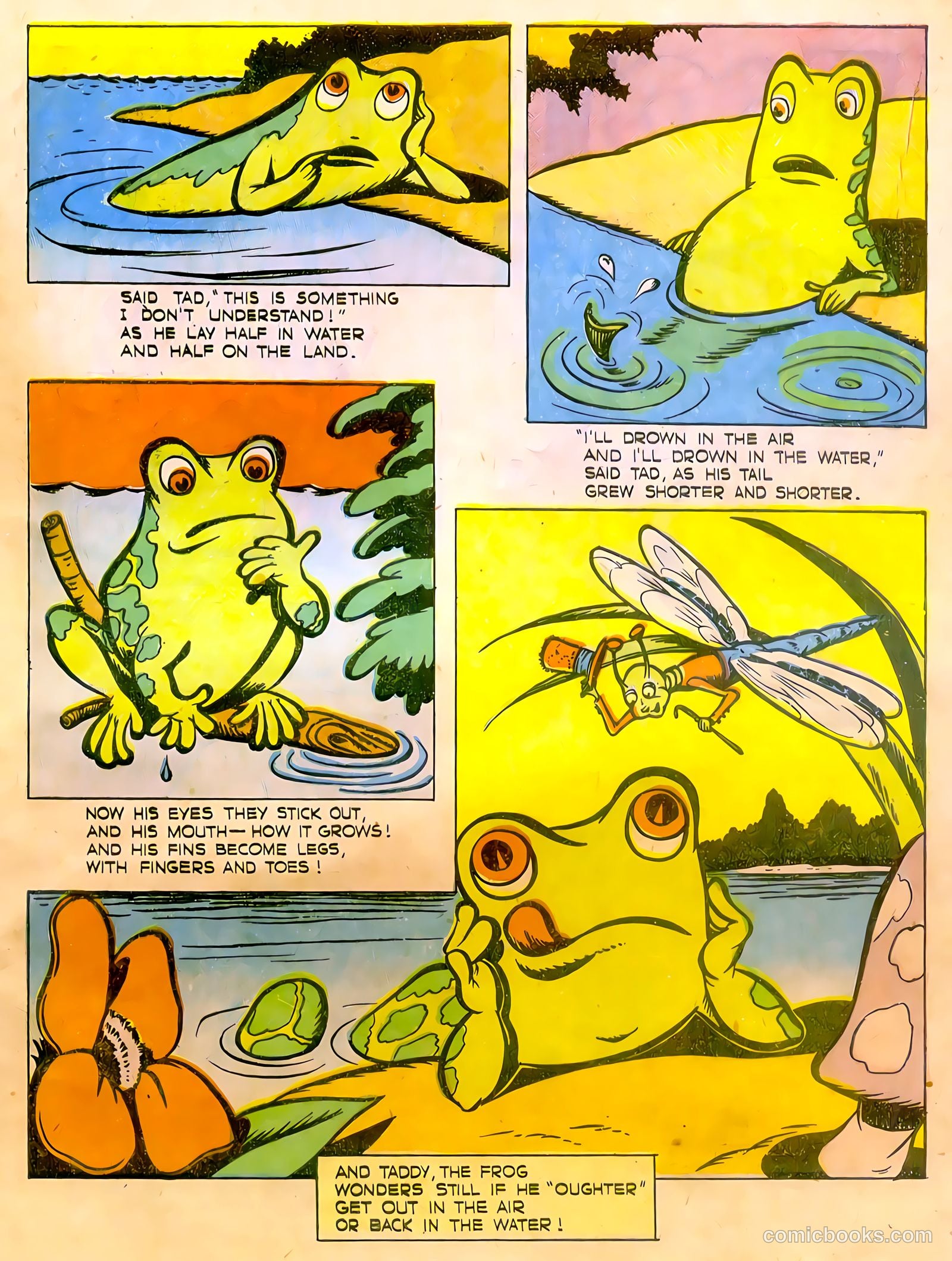 Calling All Kids #11 (1947) — page 33 of 36
