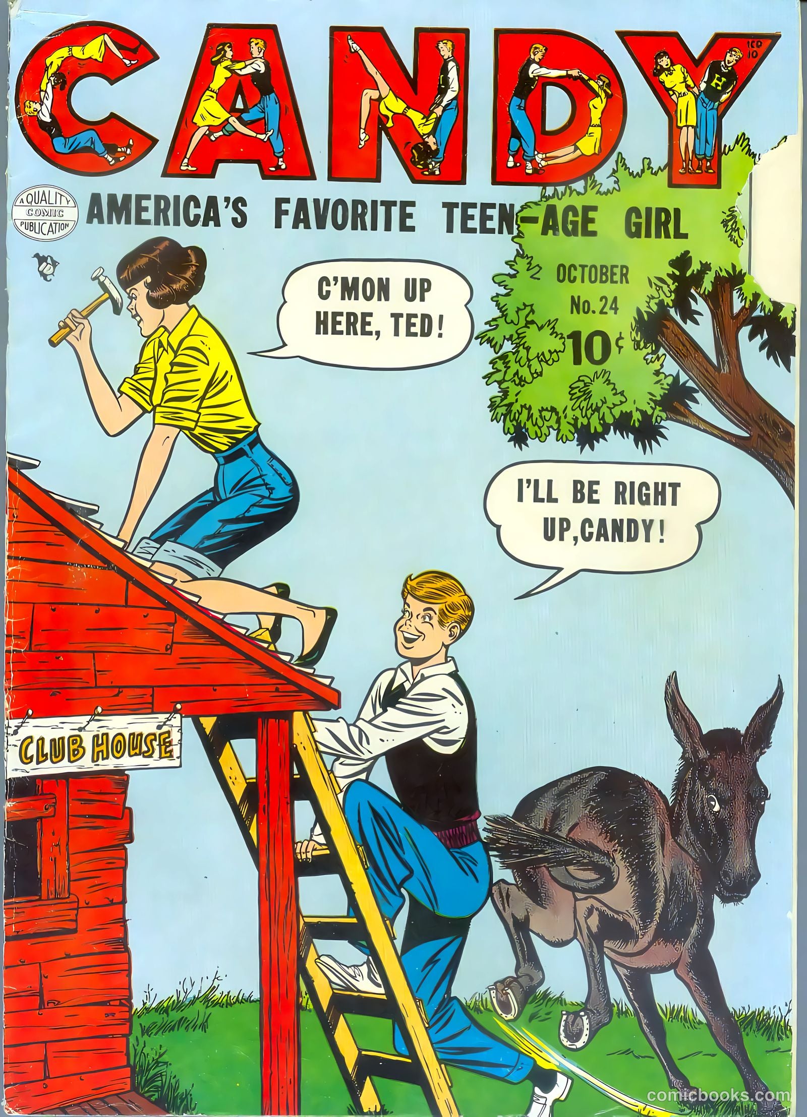 Candy #24