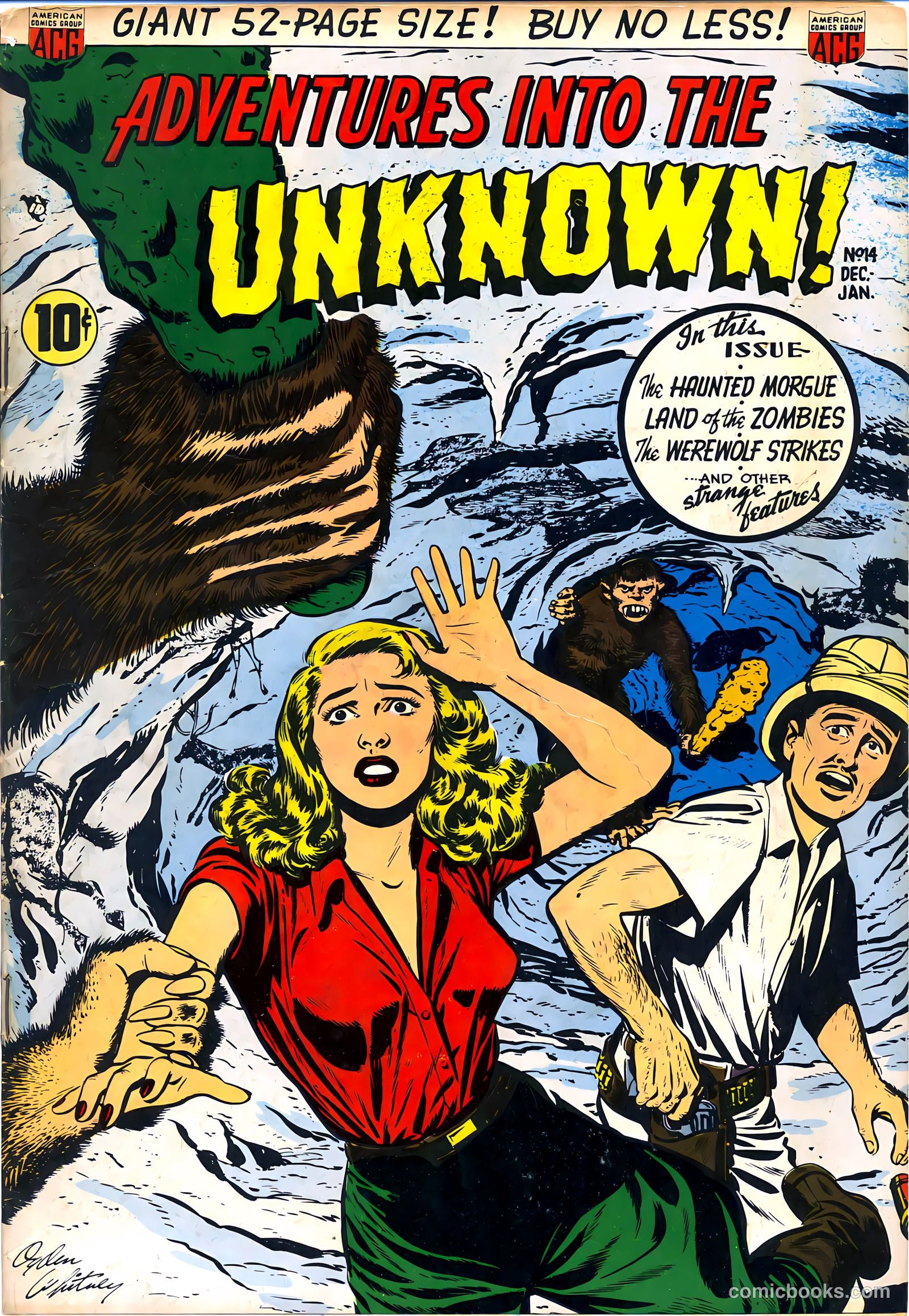 Adventures into the Unknown #14