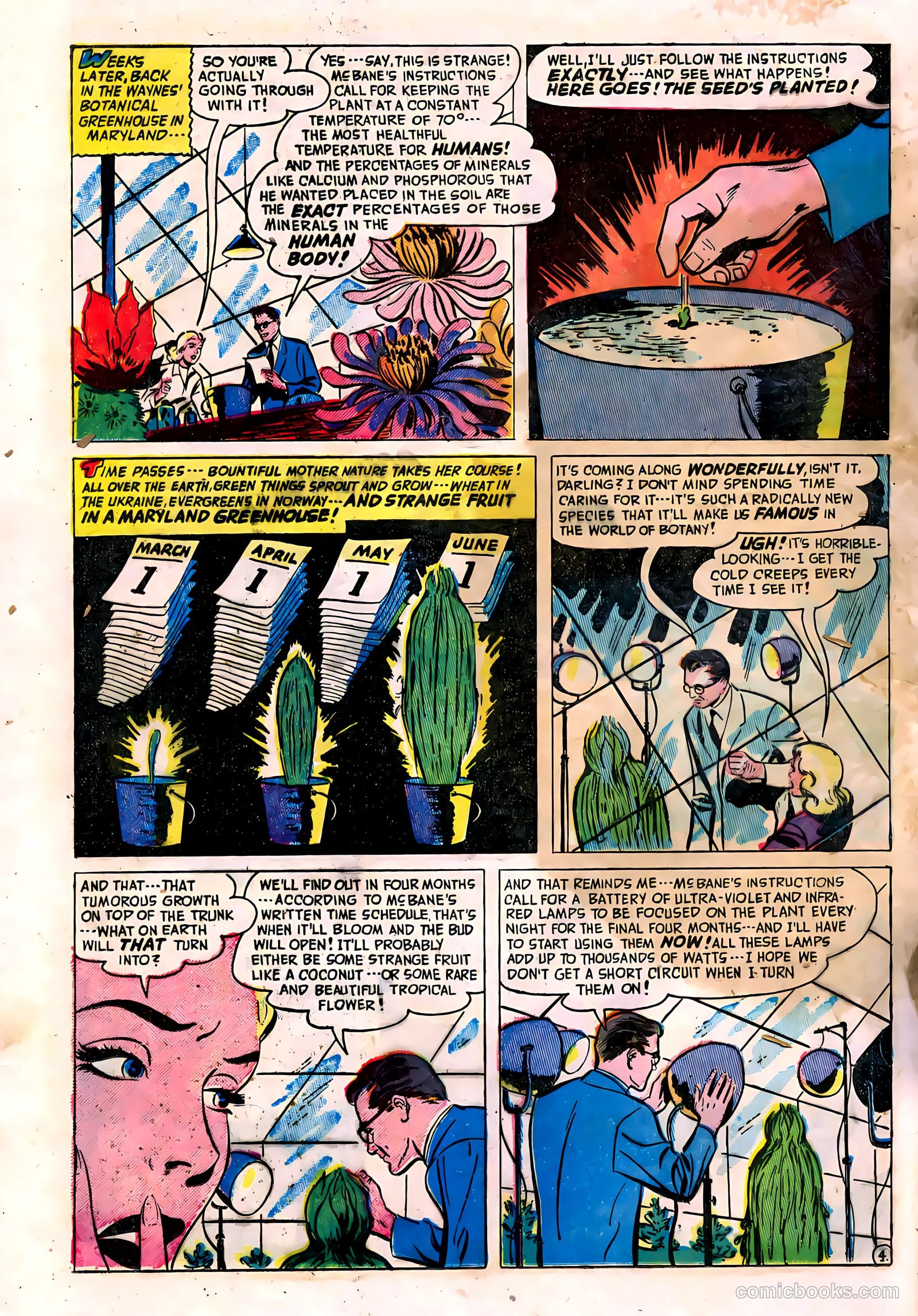 Adventures into the Unknown #15 (1951) — page 6 of 52