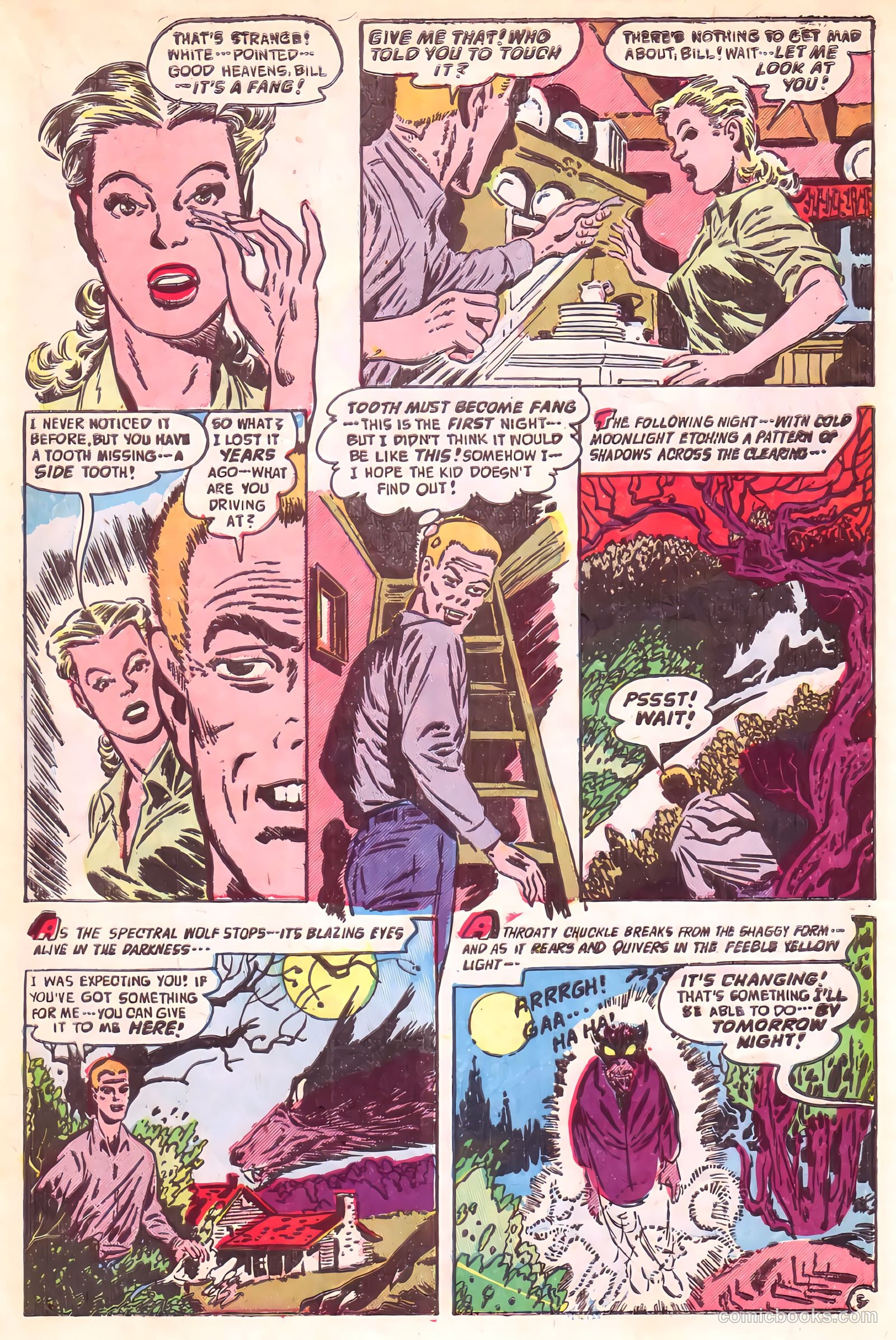 Adventures into the Unknown #24 (1951) — page 18 of 54
