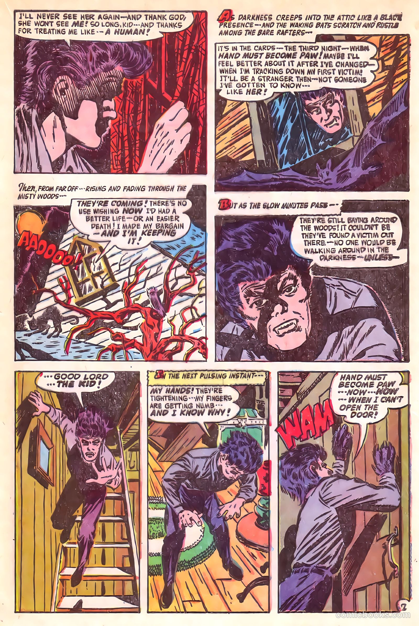 Adventures into the Unknown #24 (1951) — page 20 of 54