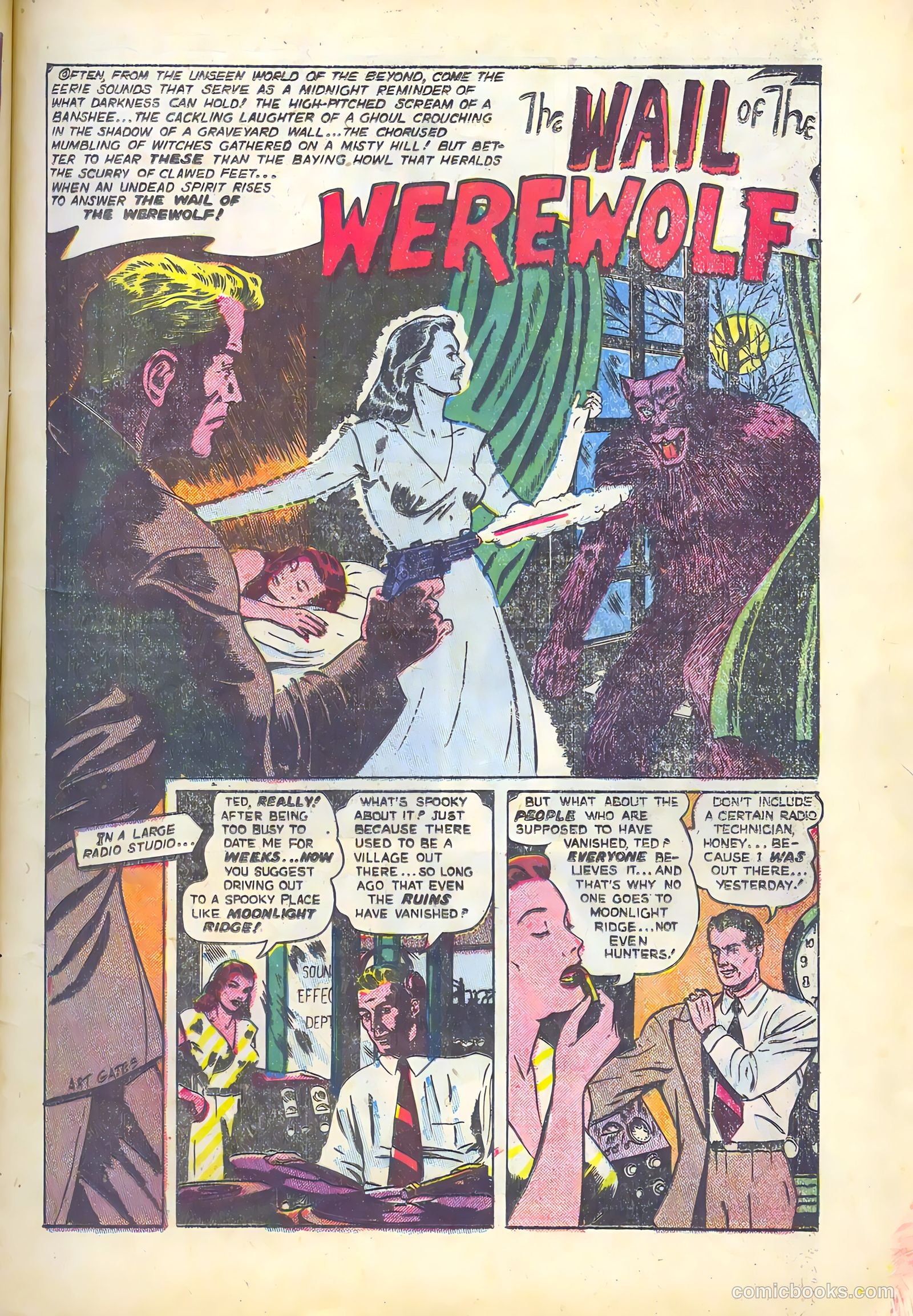 Adventures into the Unknown #31 (1952) — page 13 of 52