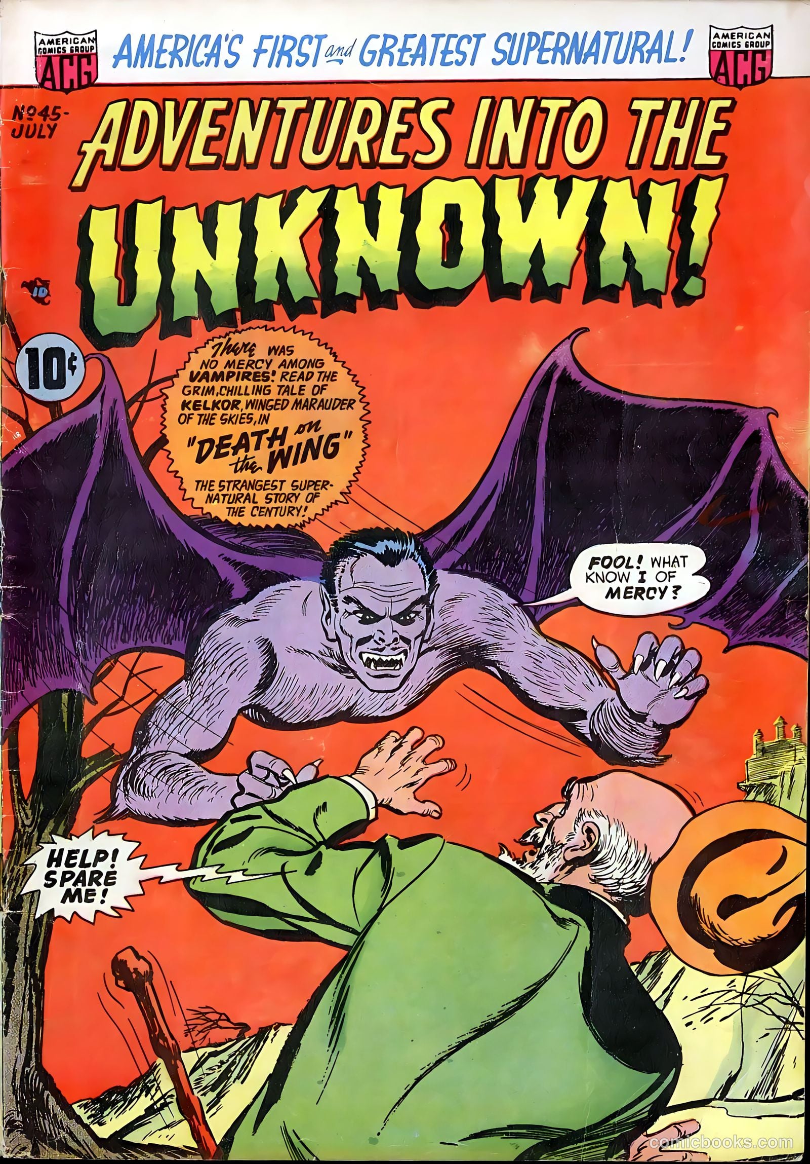 Adventures into the Unknown #45