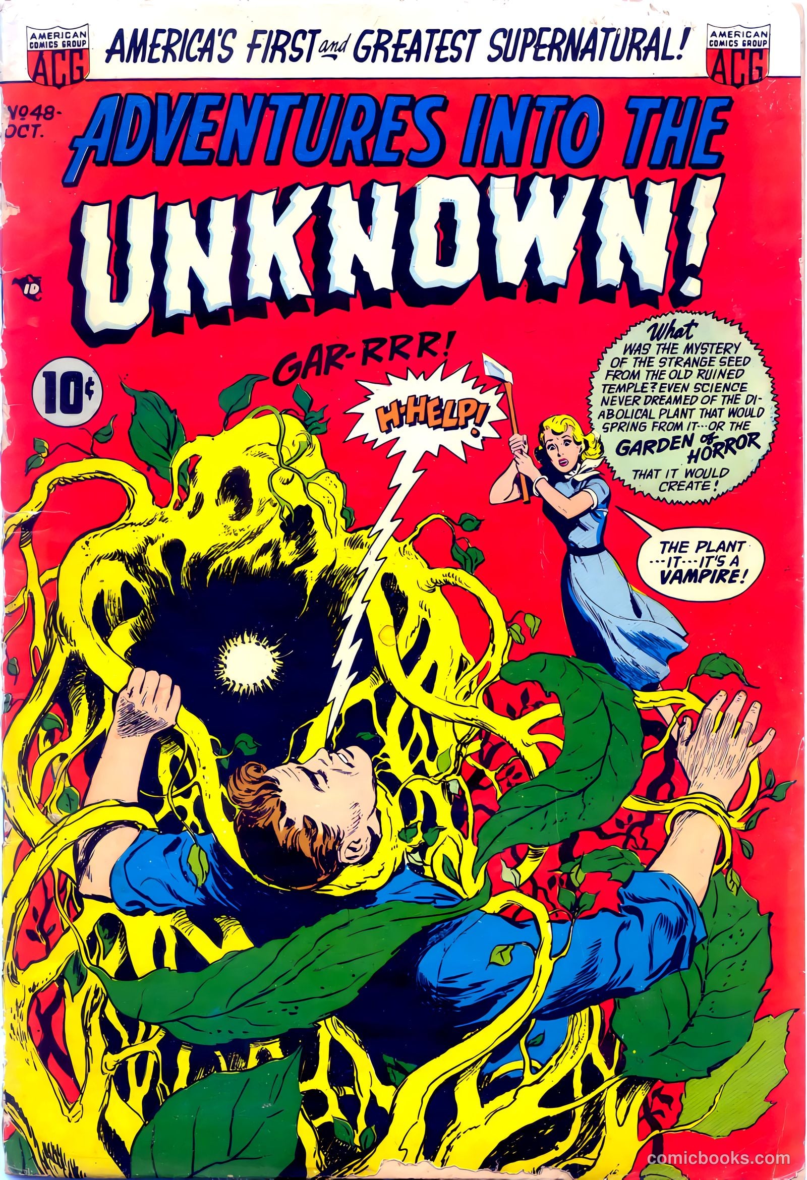 Adventures into the Unknown #48