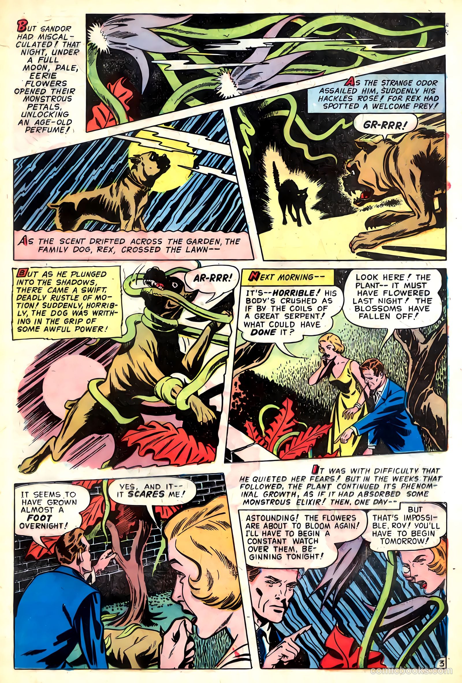 Adventures into the Unknown #48 (1953) — page 13 of 36