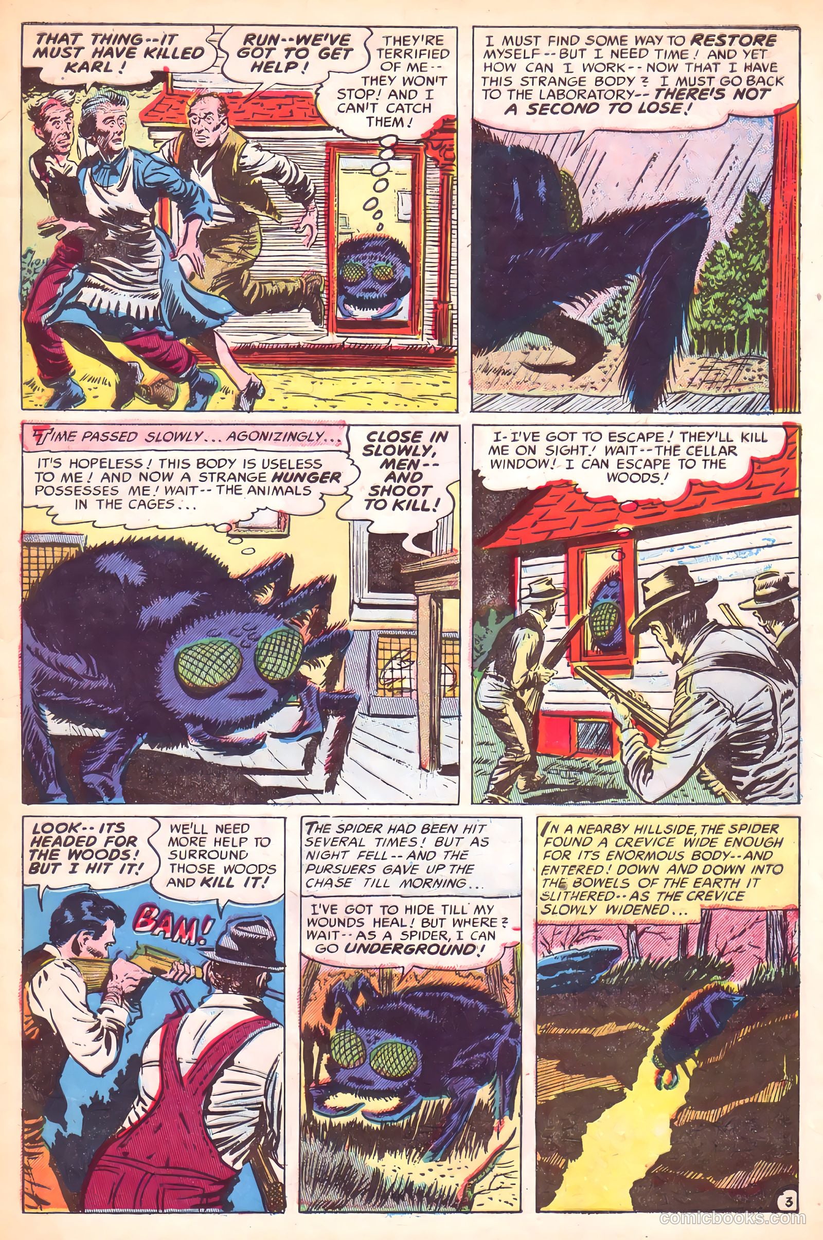 Adventures into the Unknown #50 (1953) — page 5 of 36