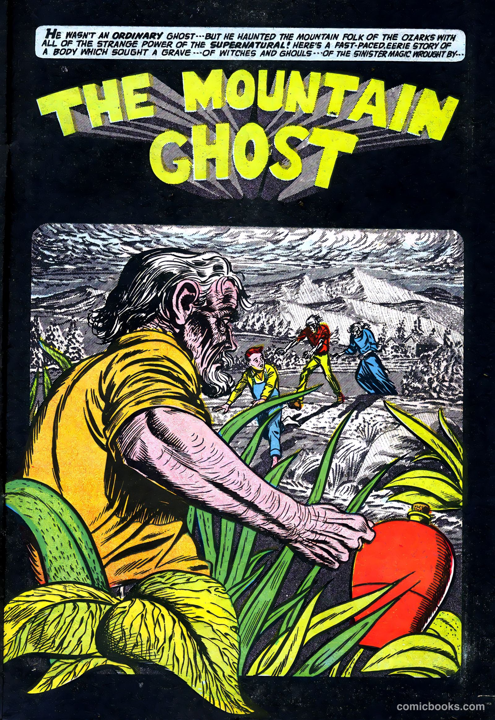 Adventures into the Unknown #56 (1954) — page 13 of 36