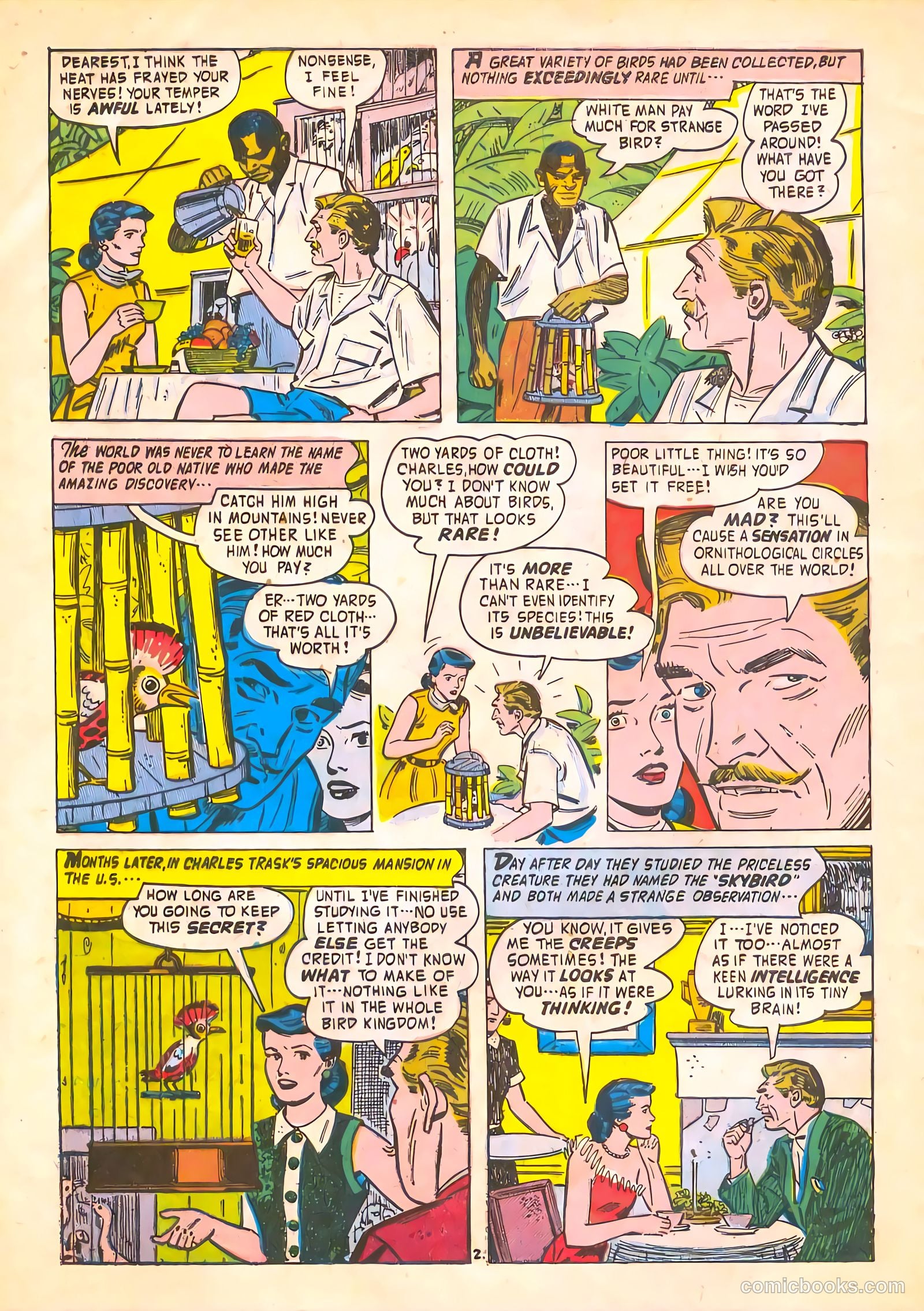 Adventures into the Unknown #69 (1955) — page 28 of 36