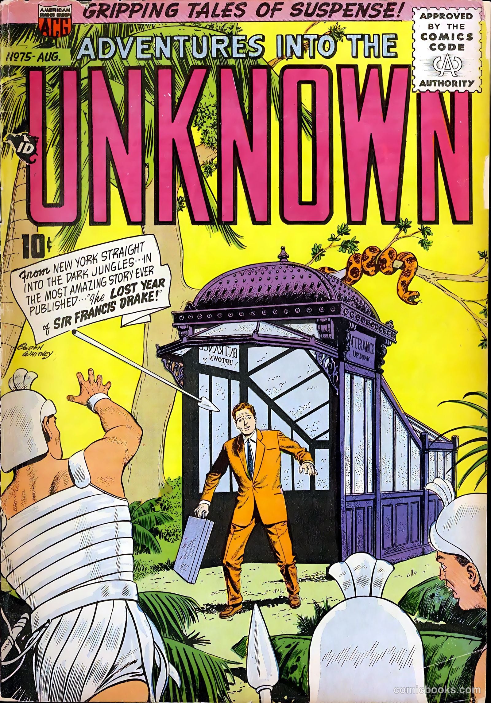 Adventures into the Unknown #75