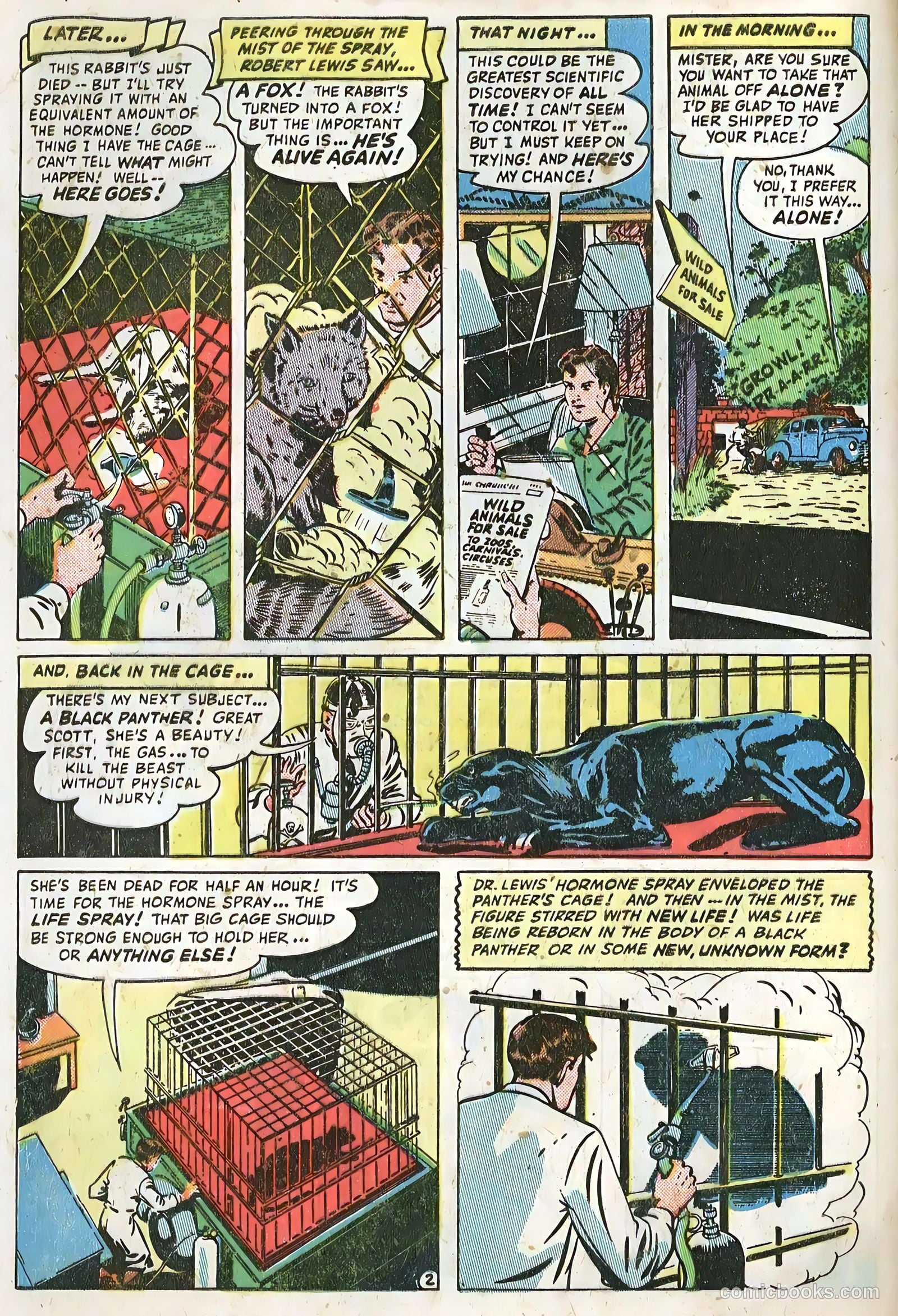 Adventures into the Unknown #9 (1950) — page 4 of 52