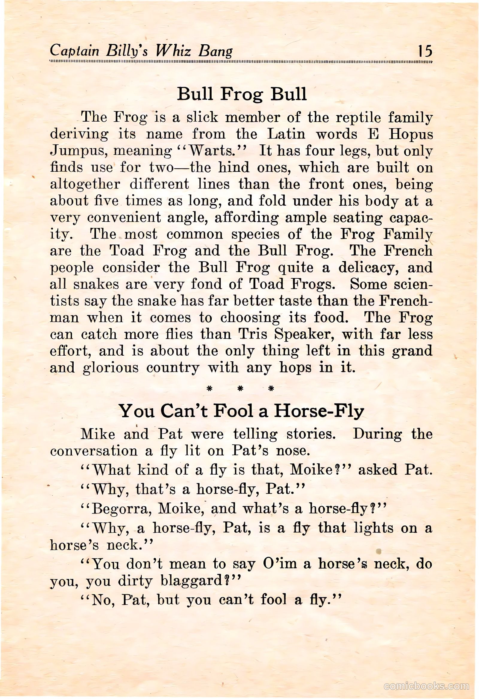 Captain Billy's Whiz Bang #16 — page 17 of 68
