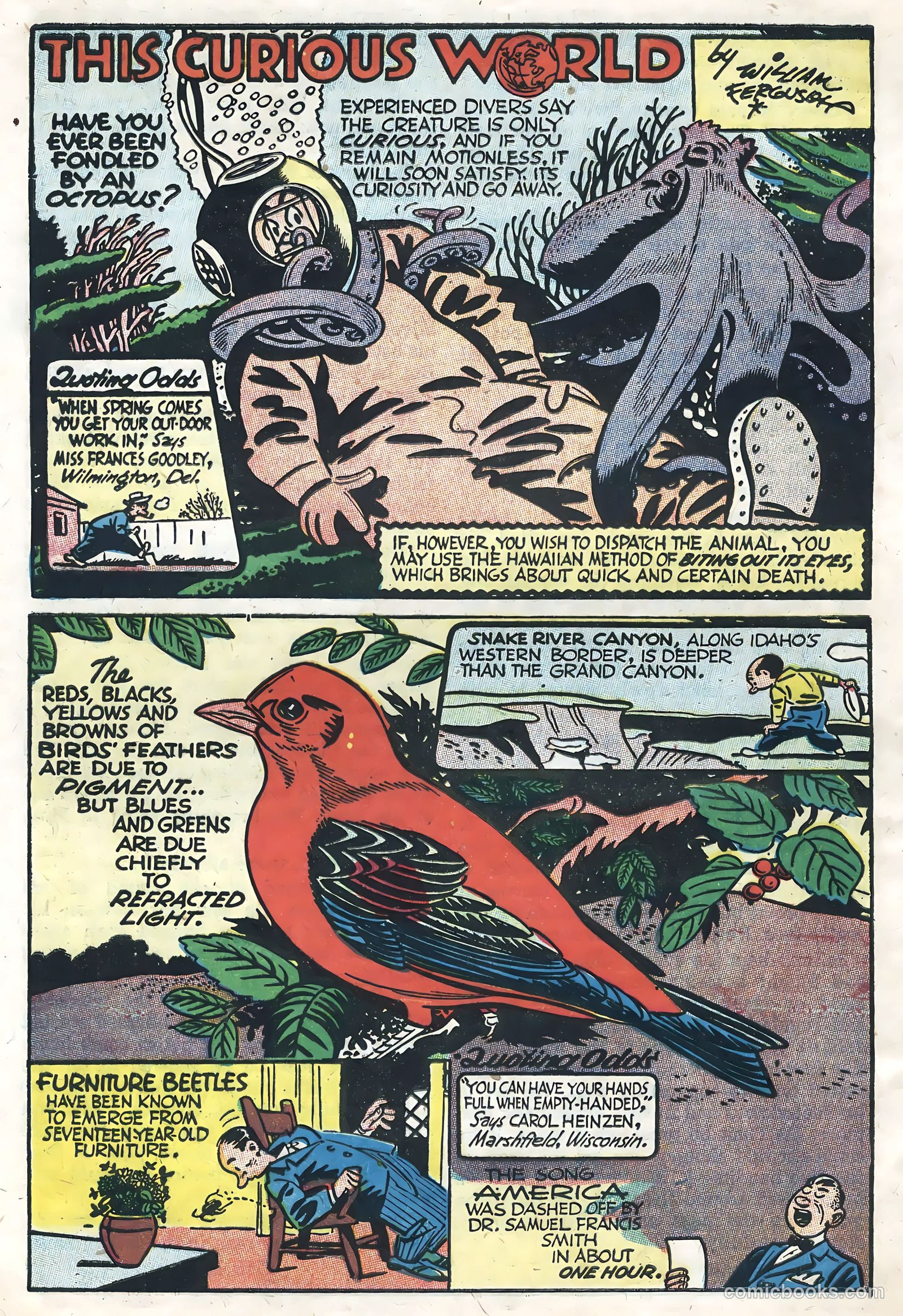 Captain Easy #1 (1956) — page 30 of 36