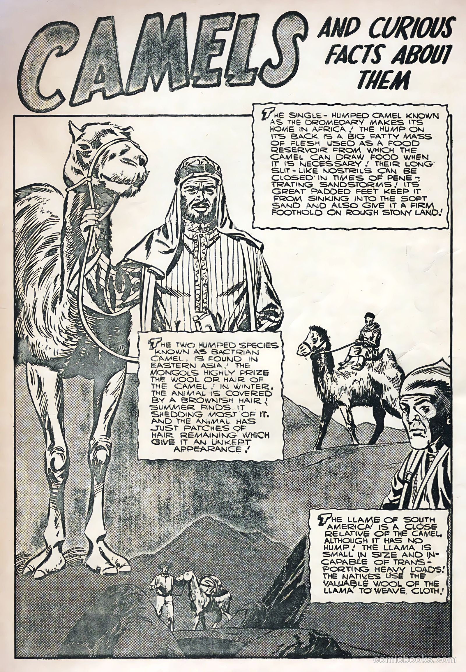 Captain Gallant #2 (1955) — page 35 of 36