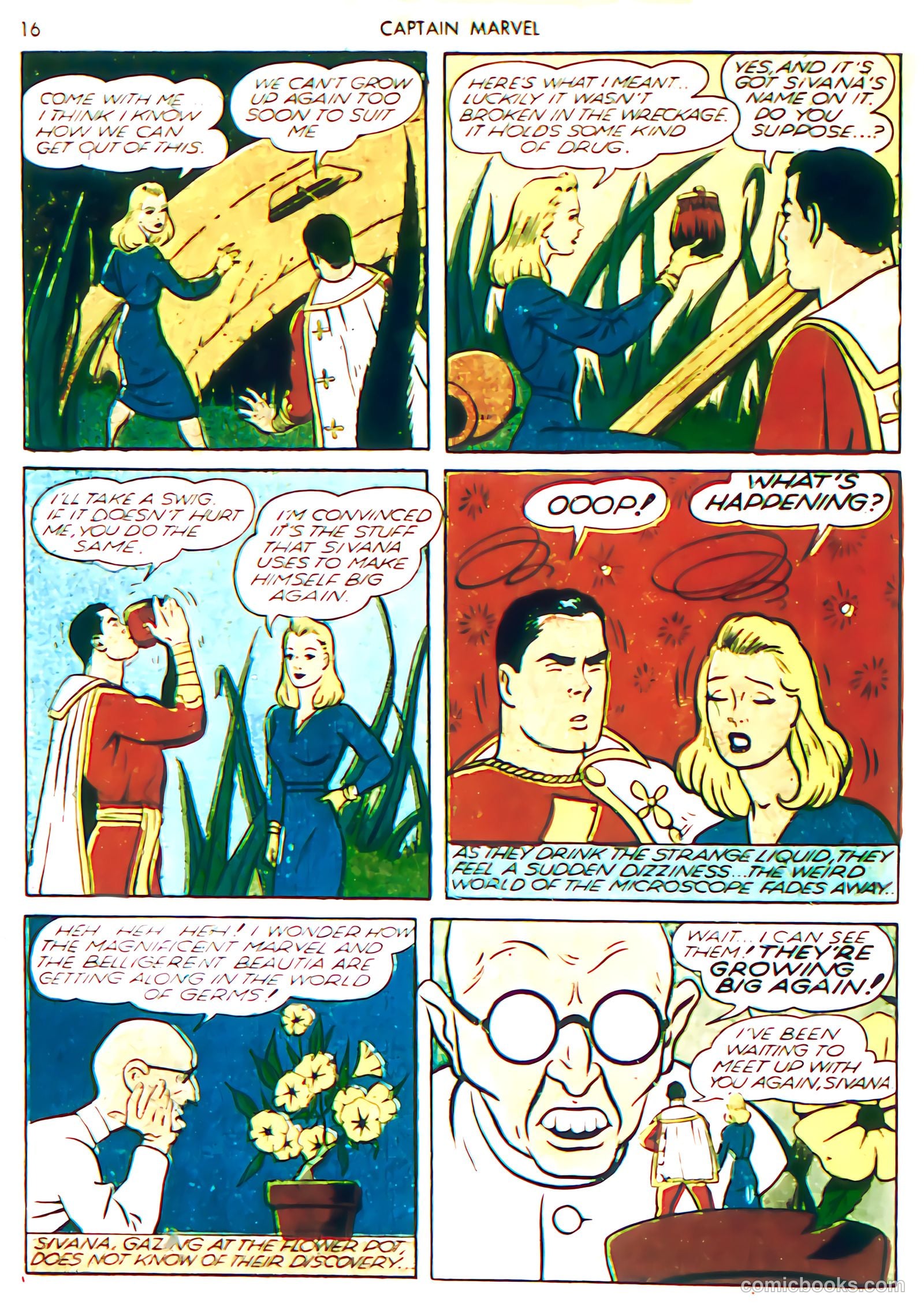 Captain Marvel Adventures #2 (1946) — page 19 of 69
