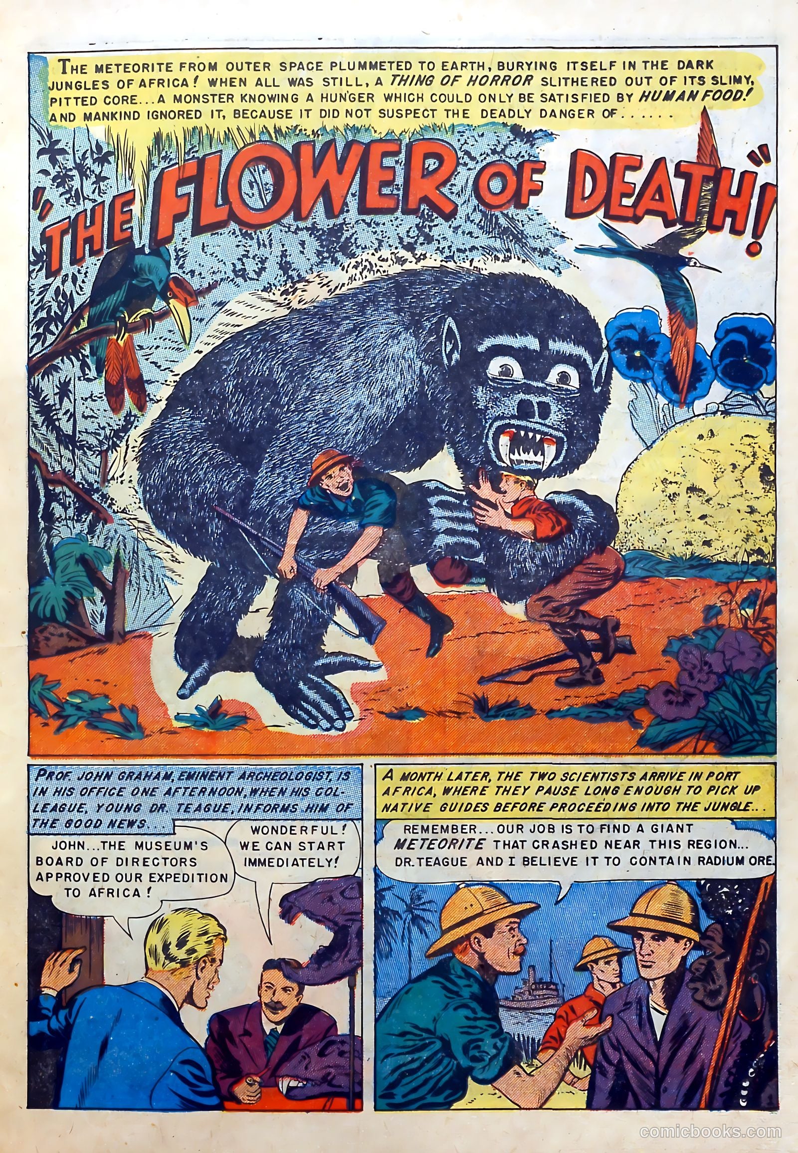 Captain Science #5 (1951) — page 11 of 36